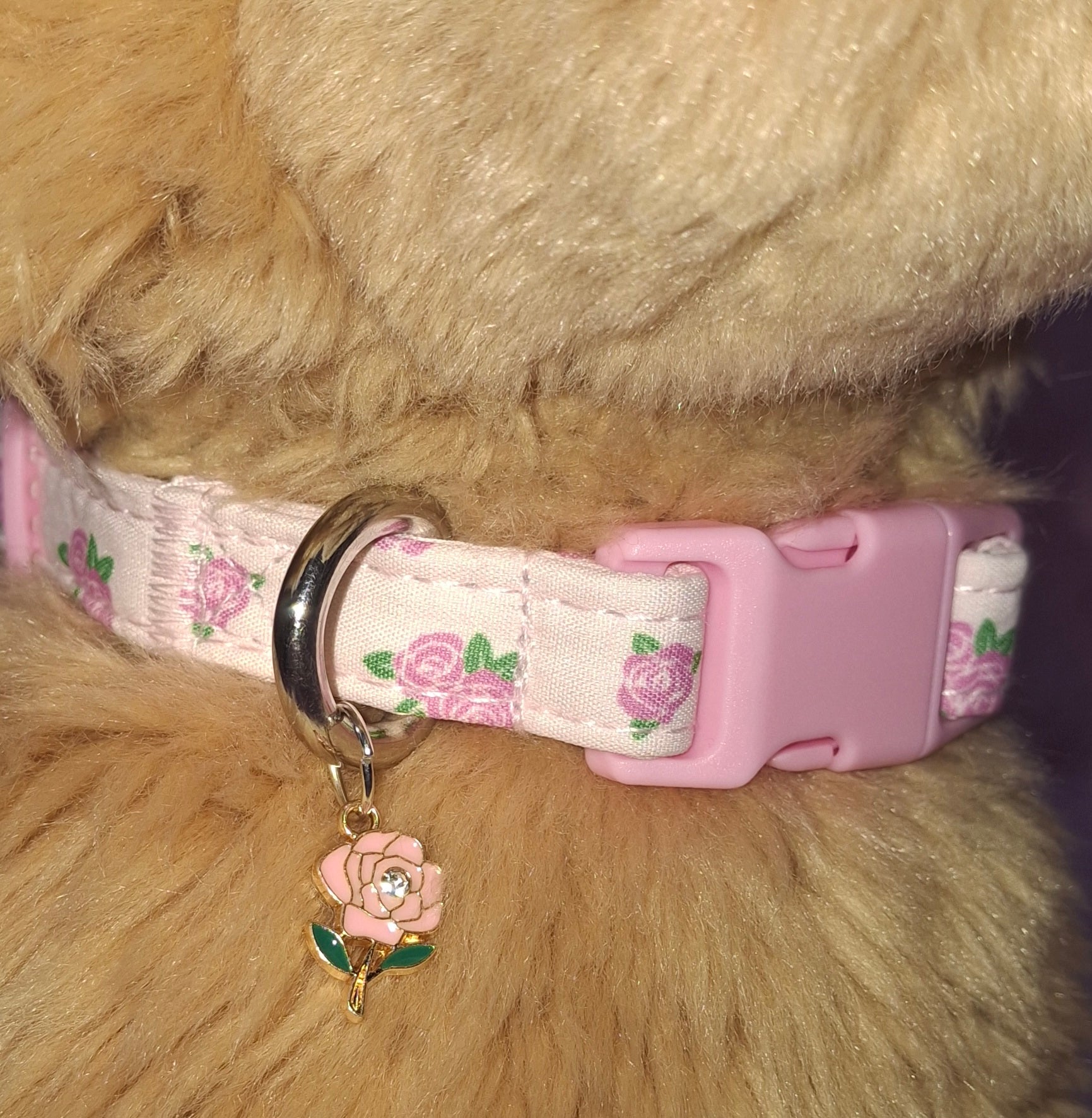 Dog Collar Variants