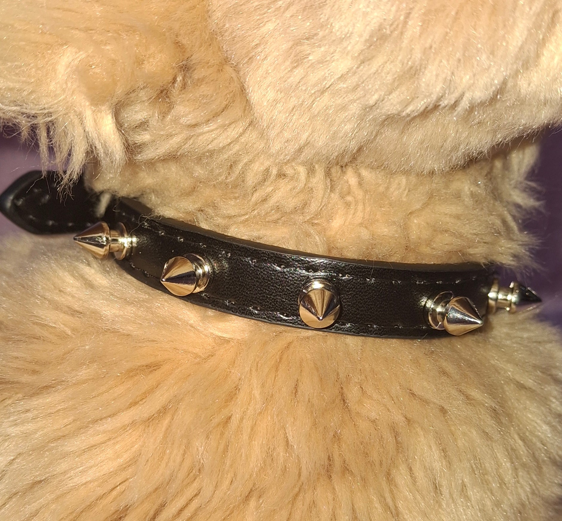 Spiked Collar