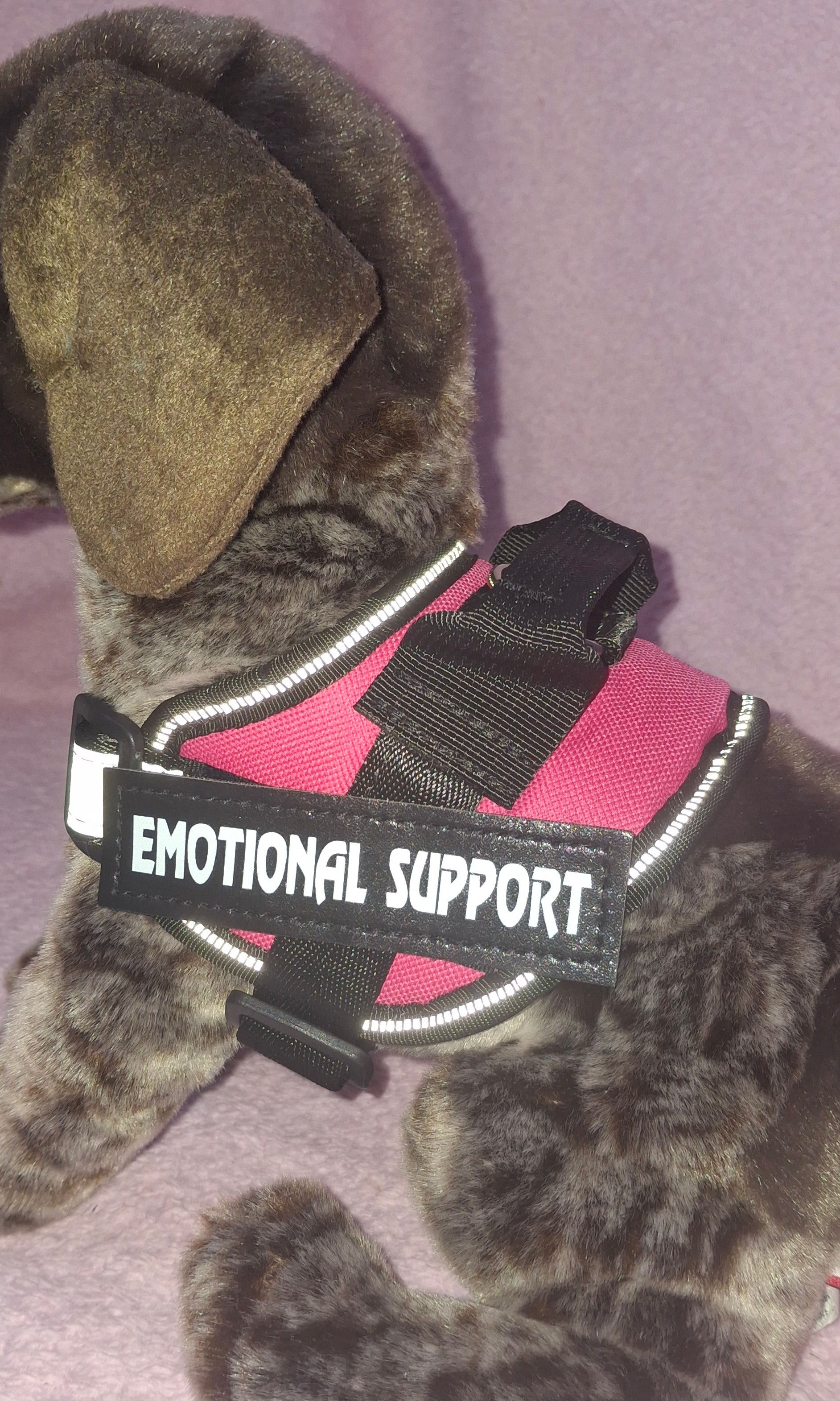 Emotional Support Vest