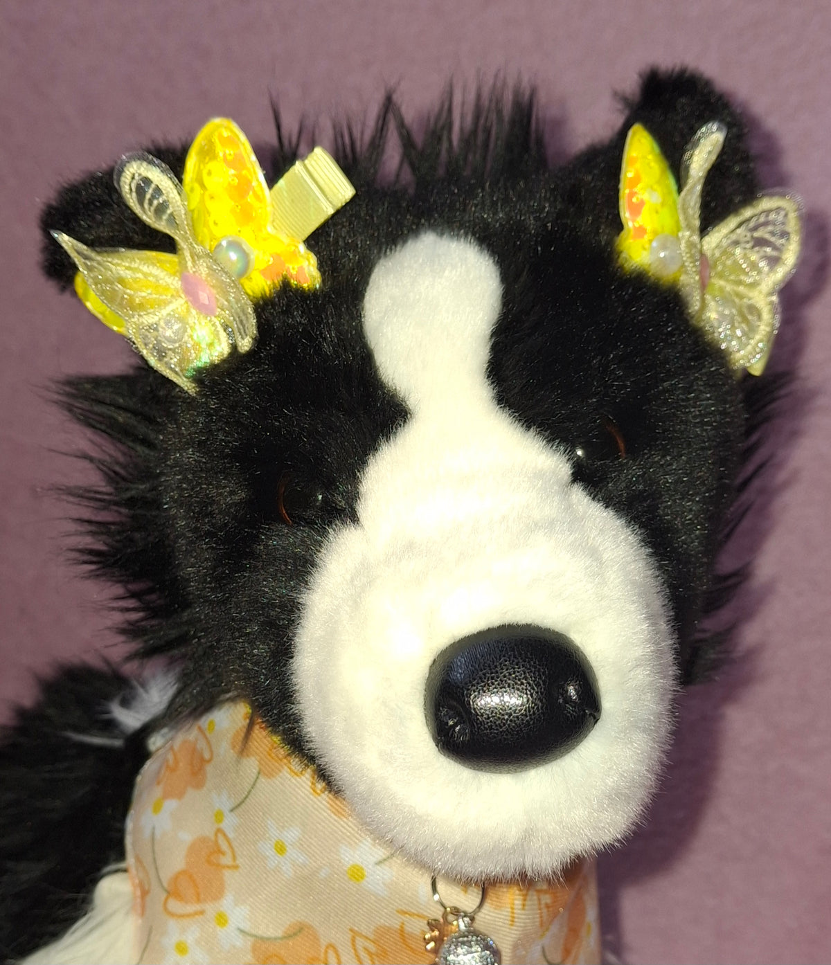 Custard Plush (Chase Collie)