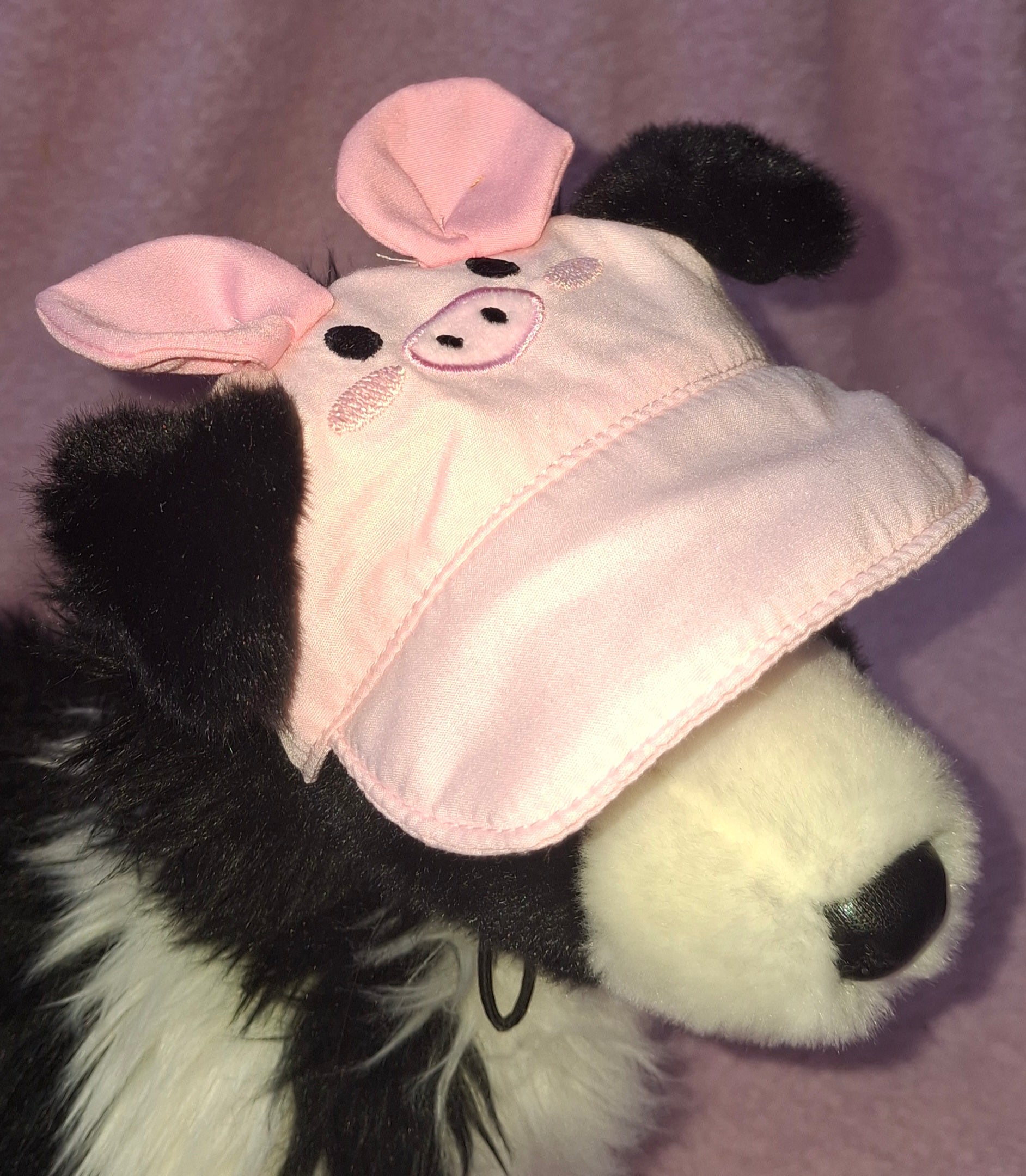 Animal Cap