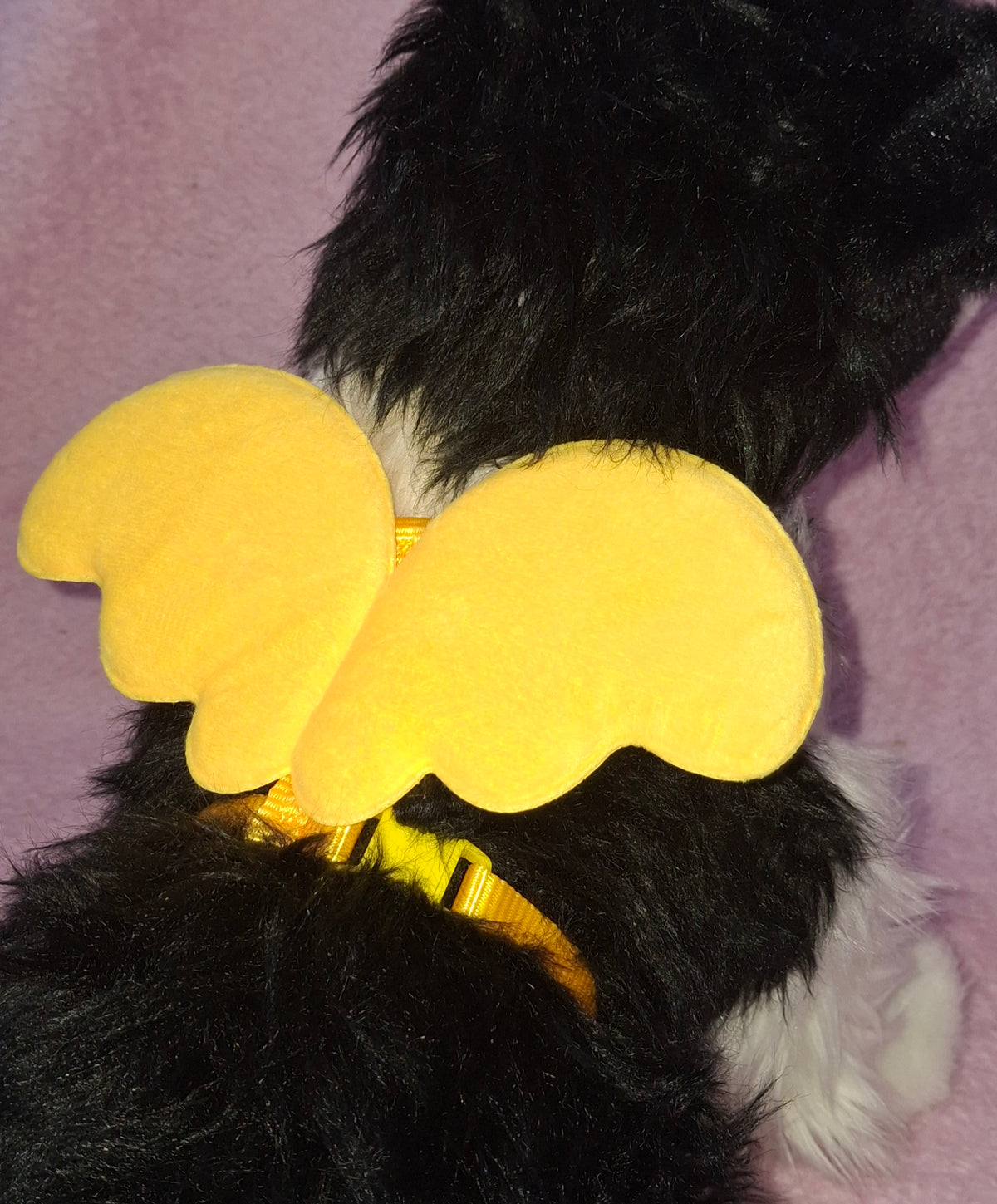 Wings