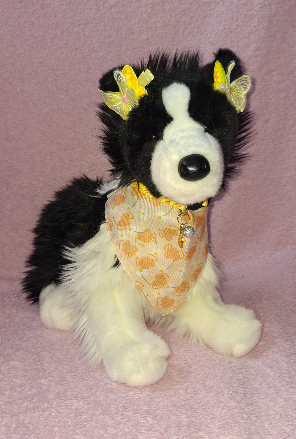 Custard Plush (Chase Collie)