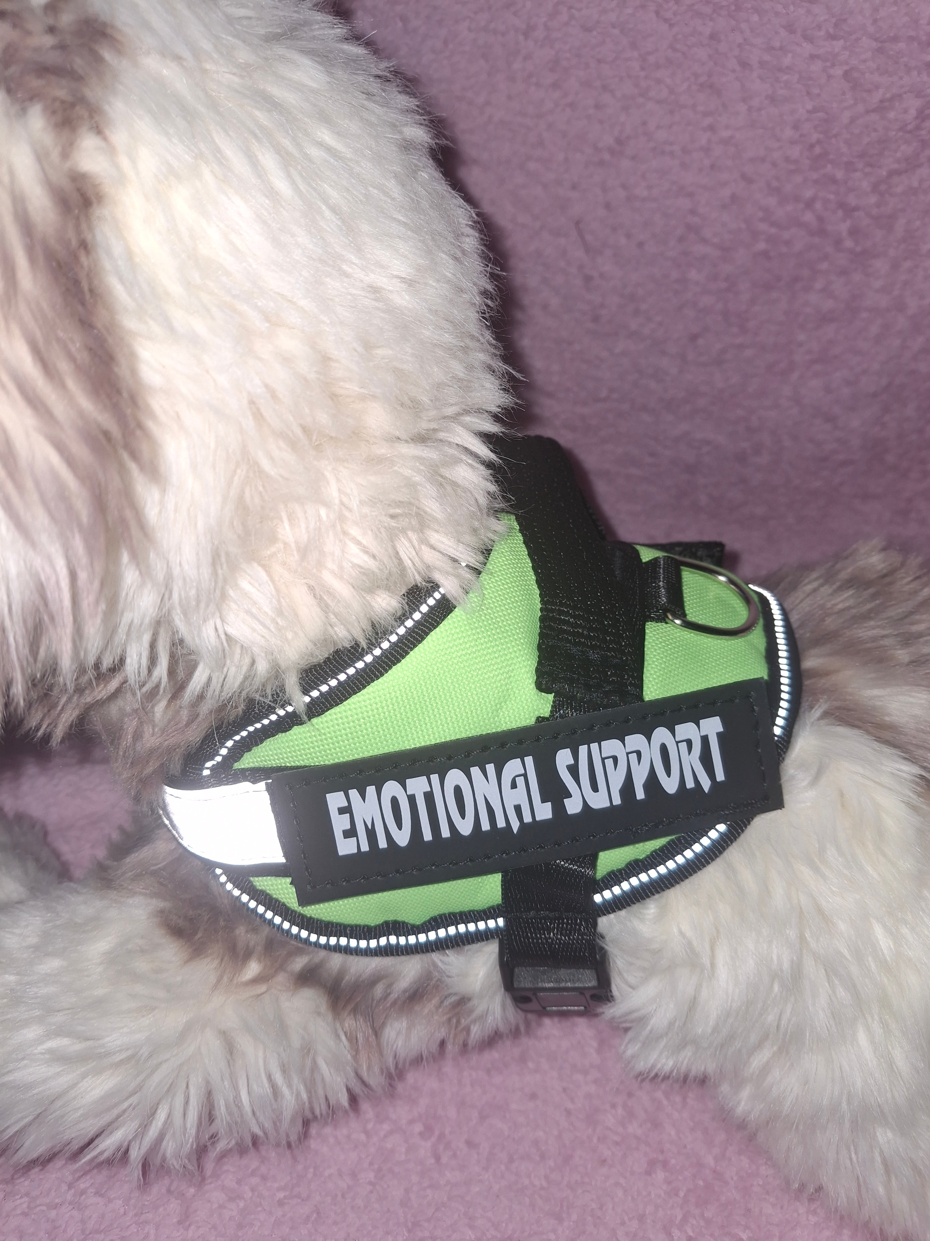 Emotional Support Vest