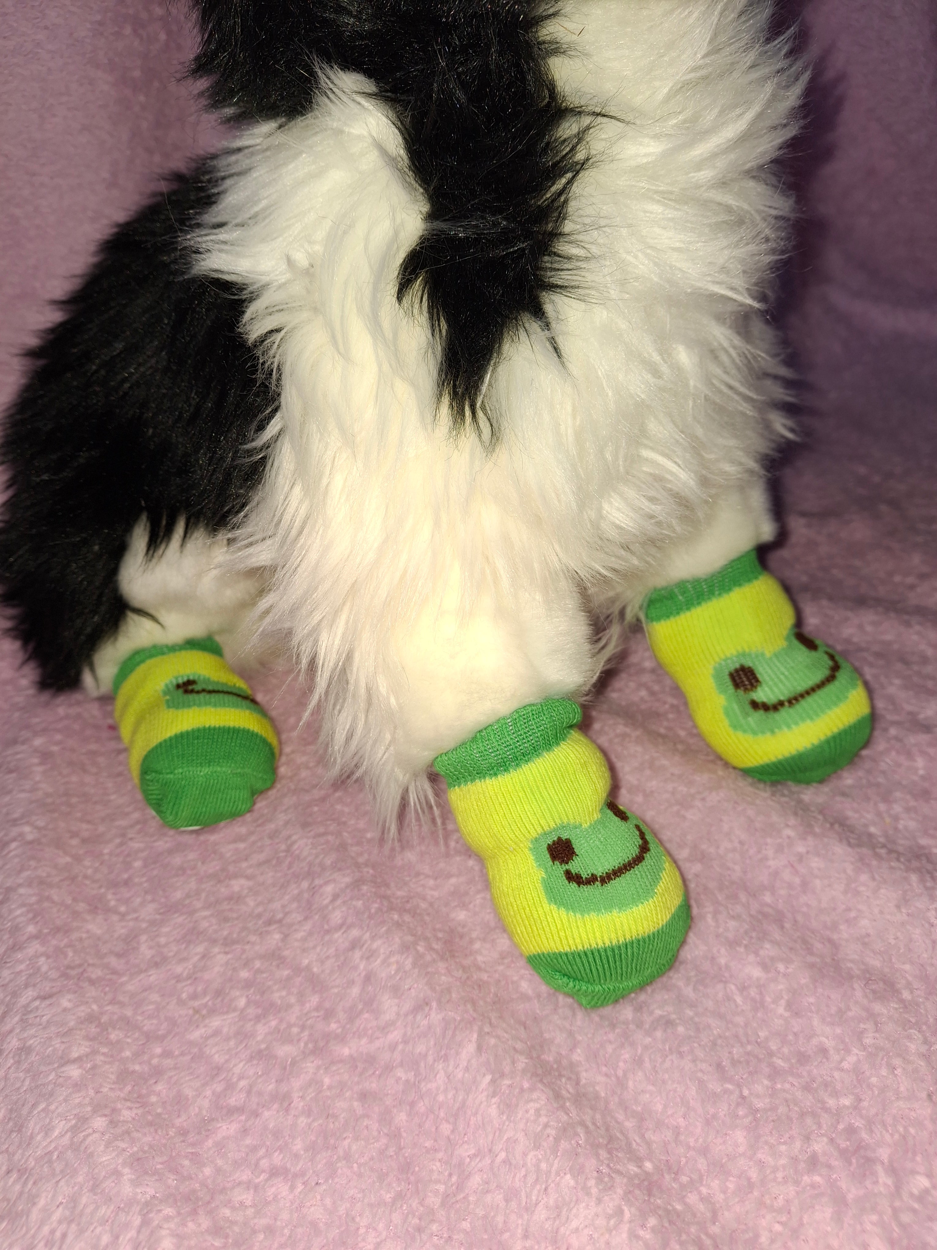 Animal Socks