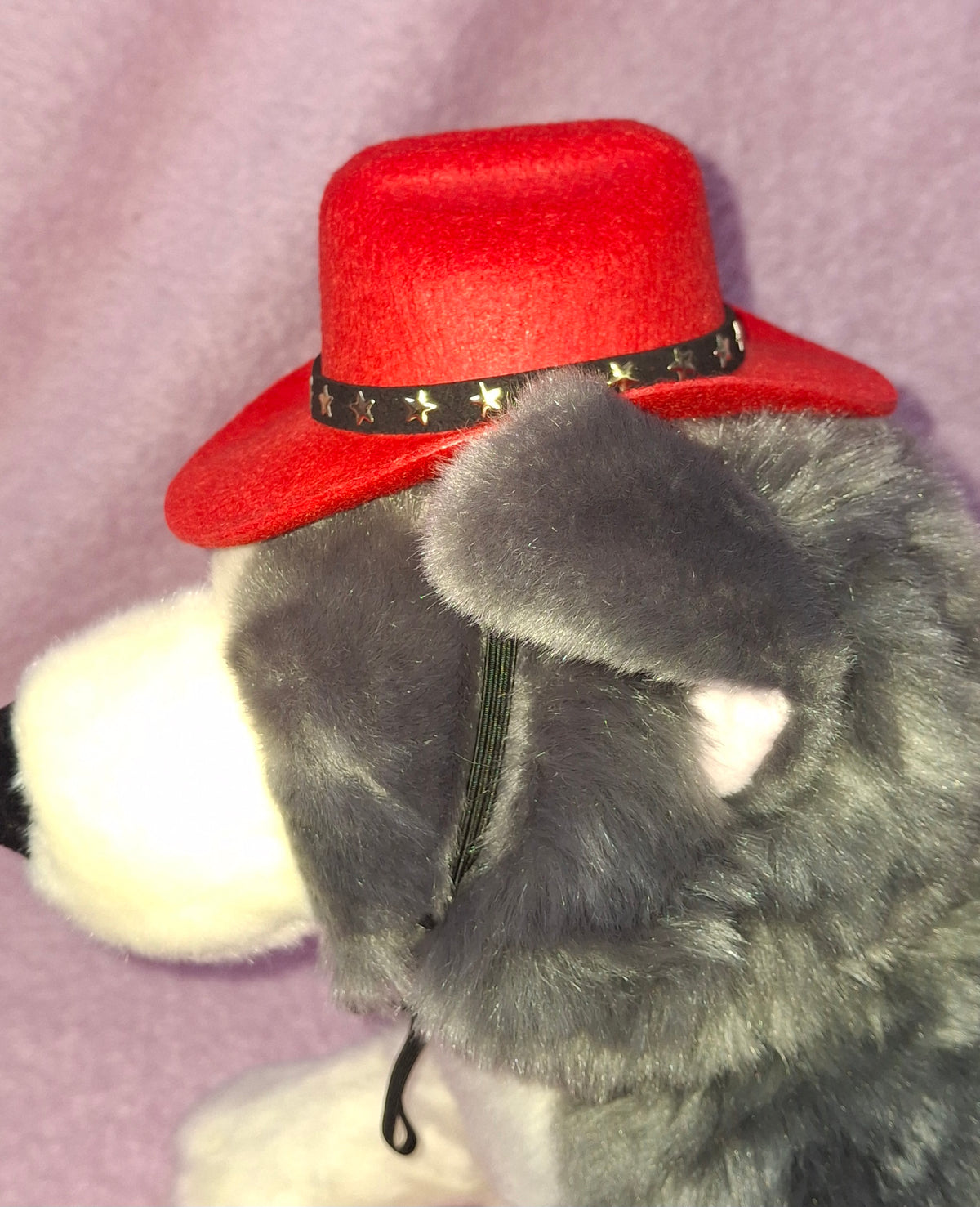 Cowboy Hat