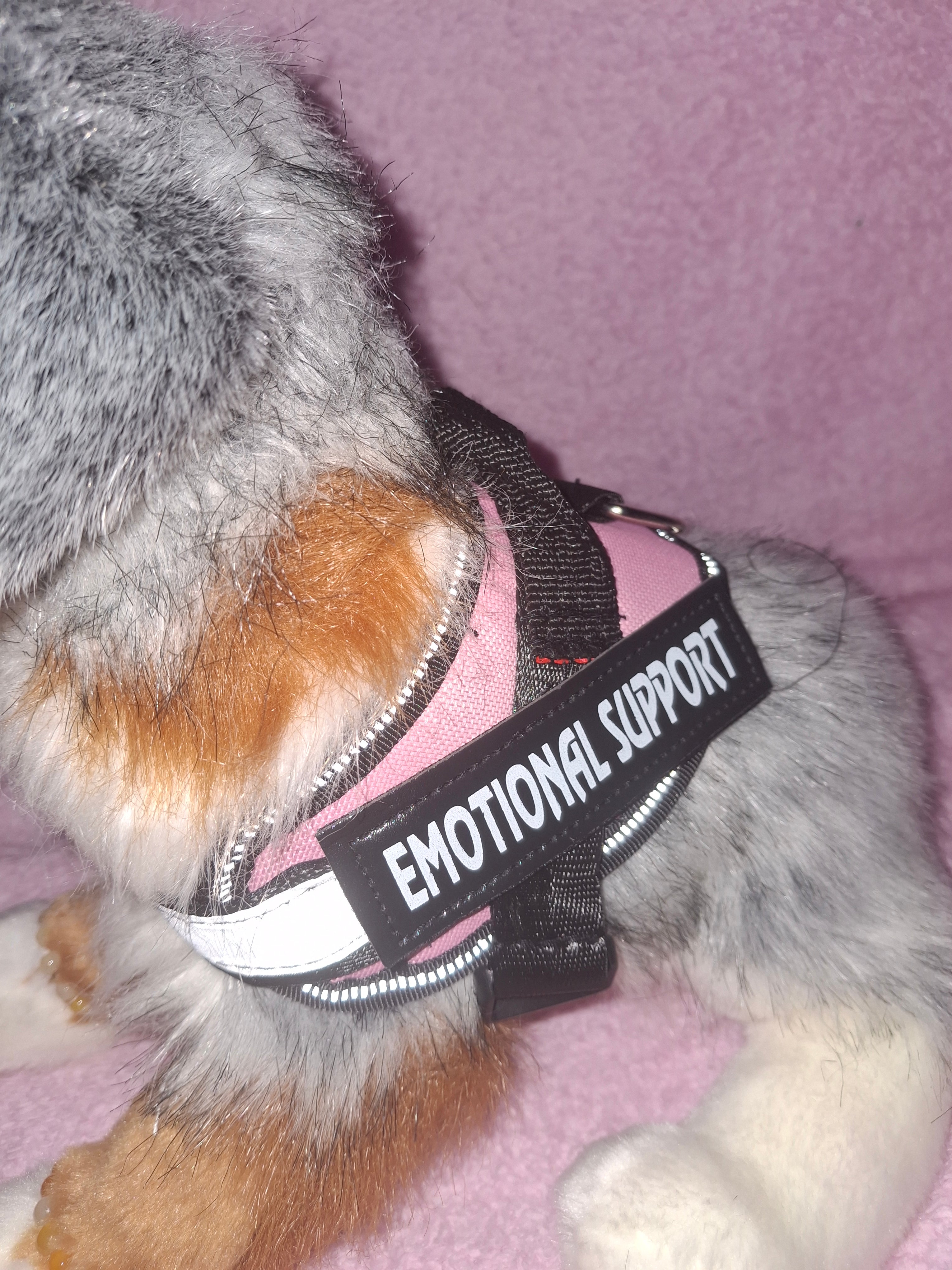 Emotional Support Vest