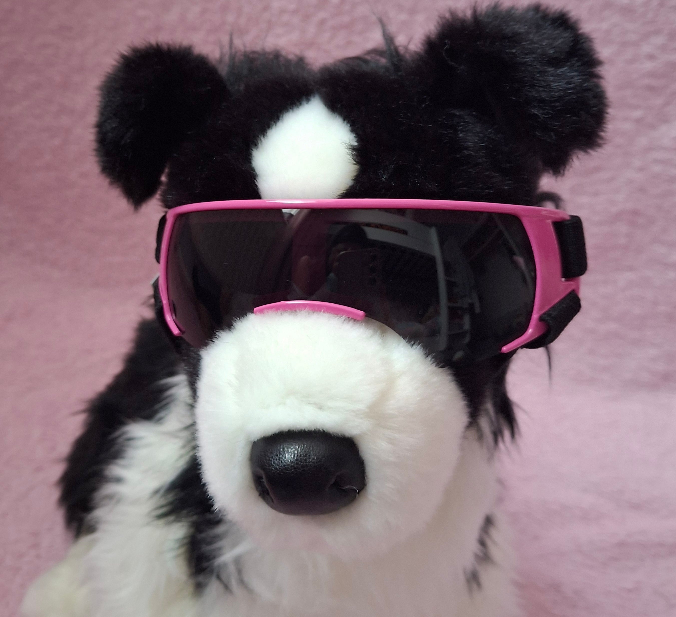 Goggles