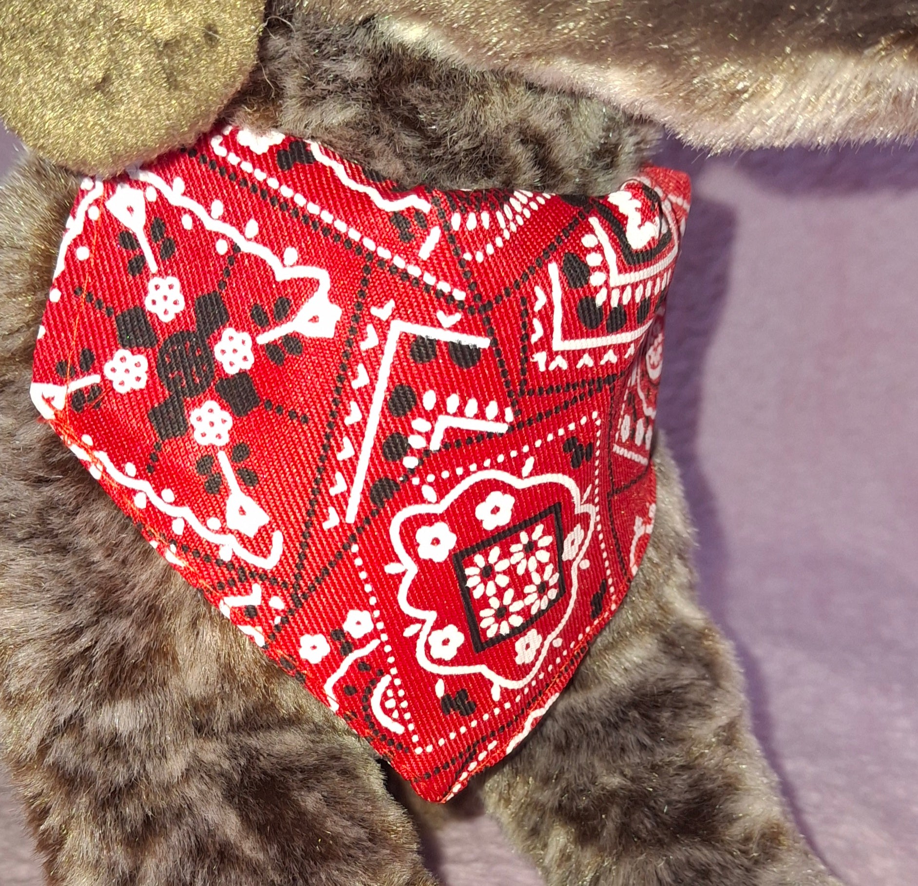 Bandana Collar