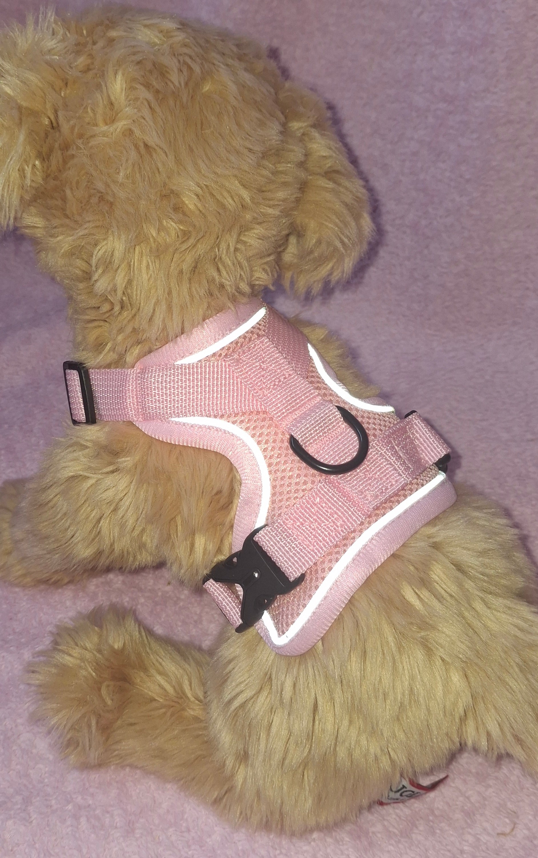 Slip On Harness