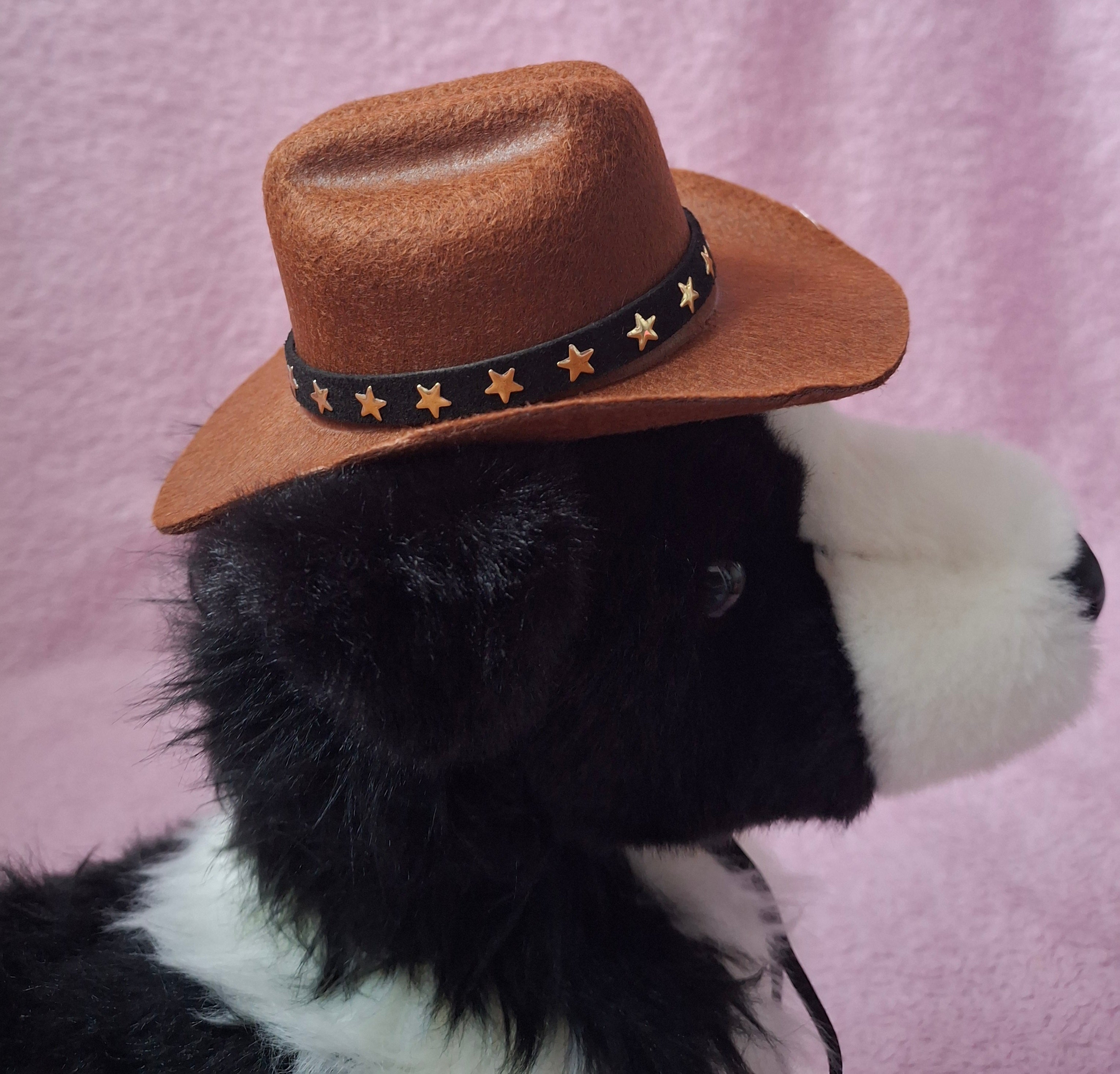 Cowboy Hat