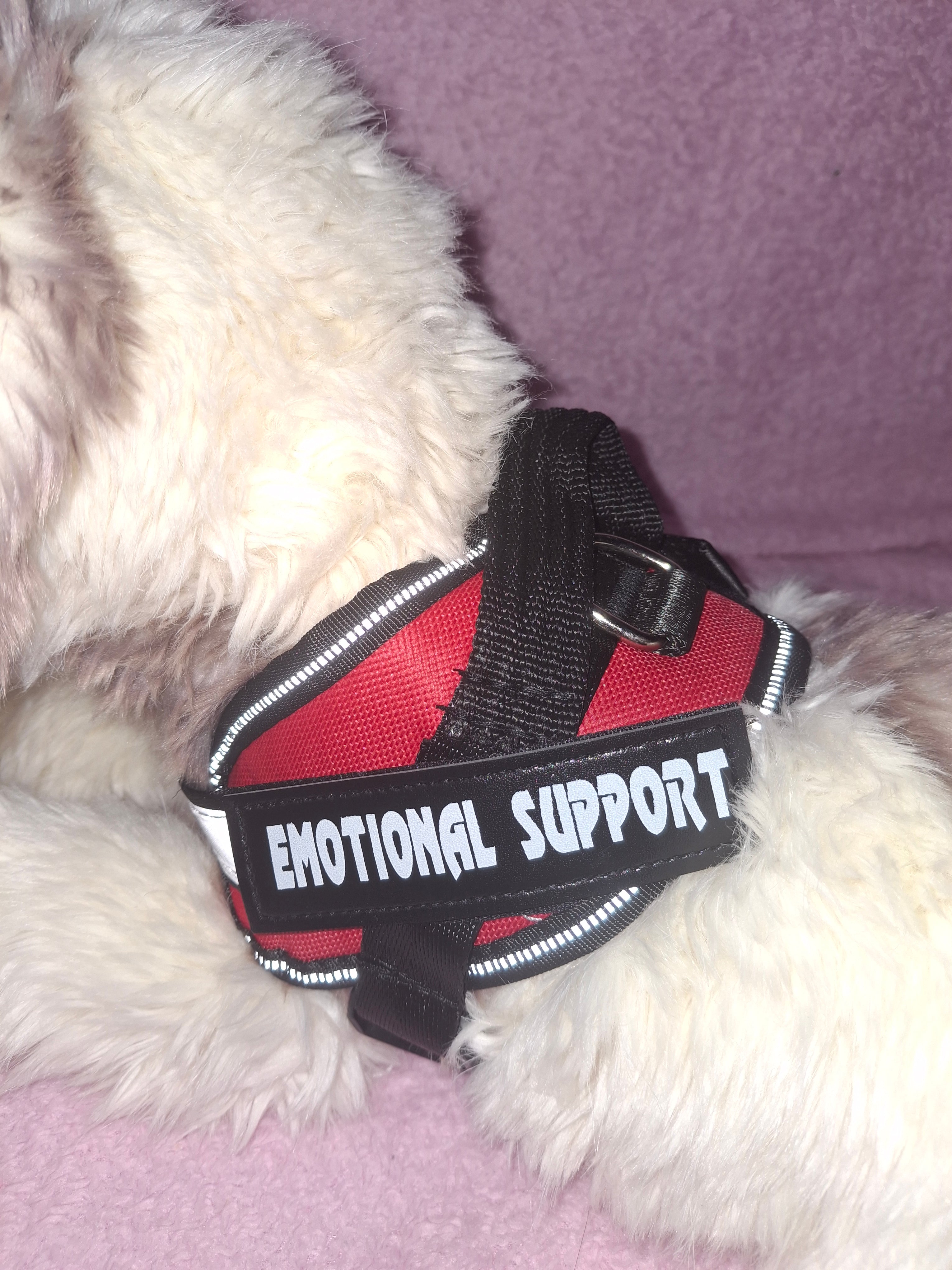 Emotional Support Vest