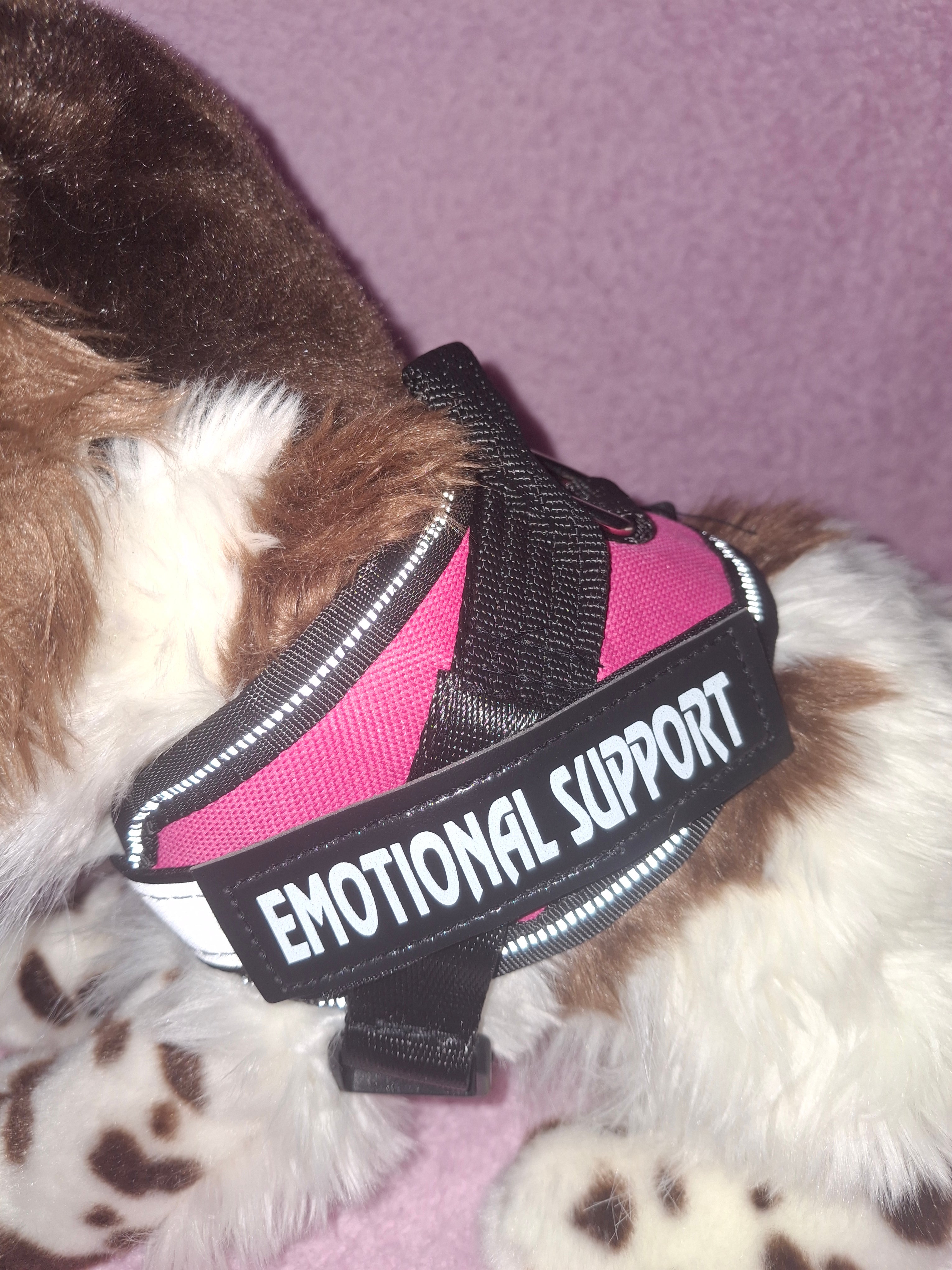 Emotional Support Vest