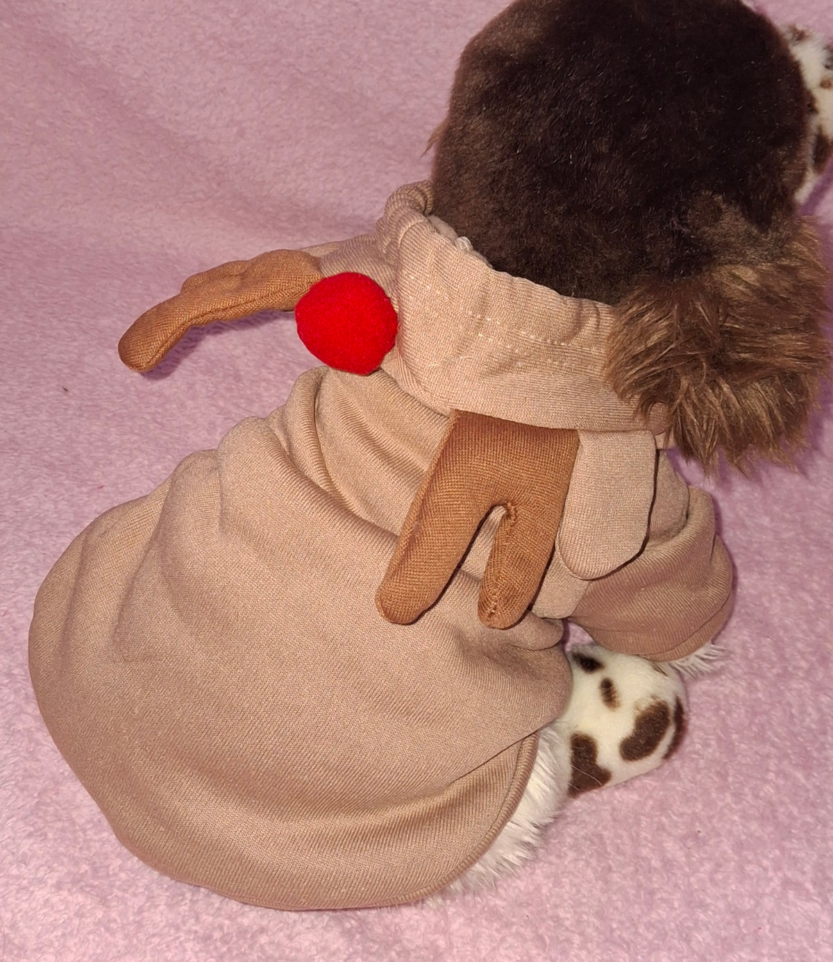 Rudolph Costume