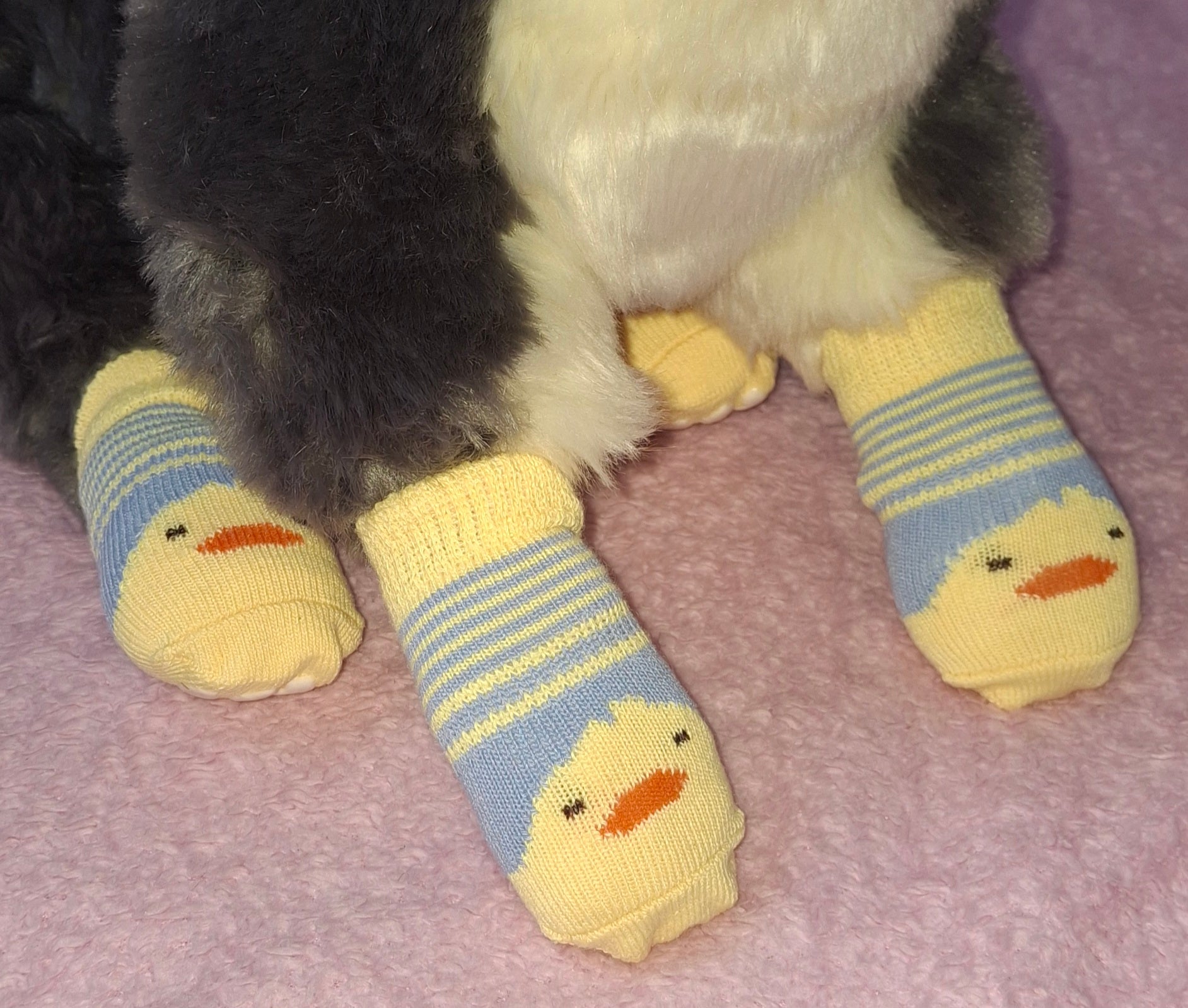 Animal Socks