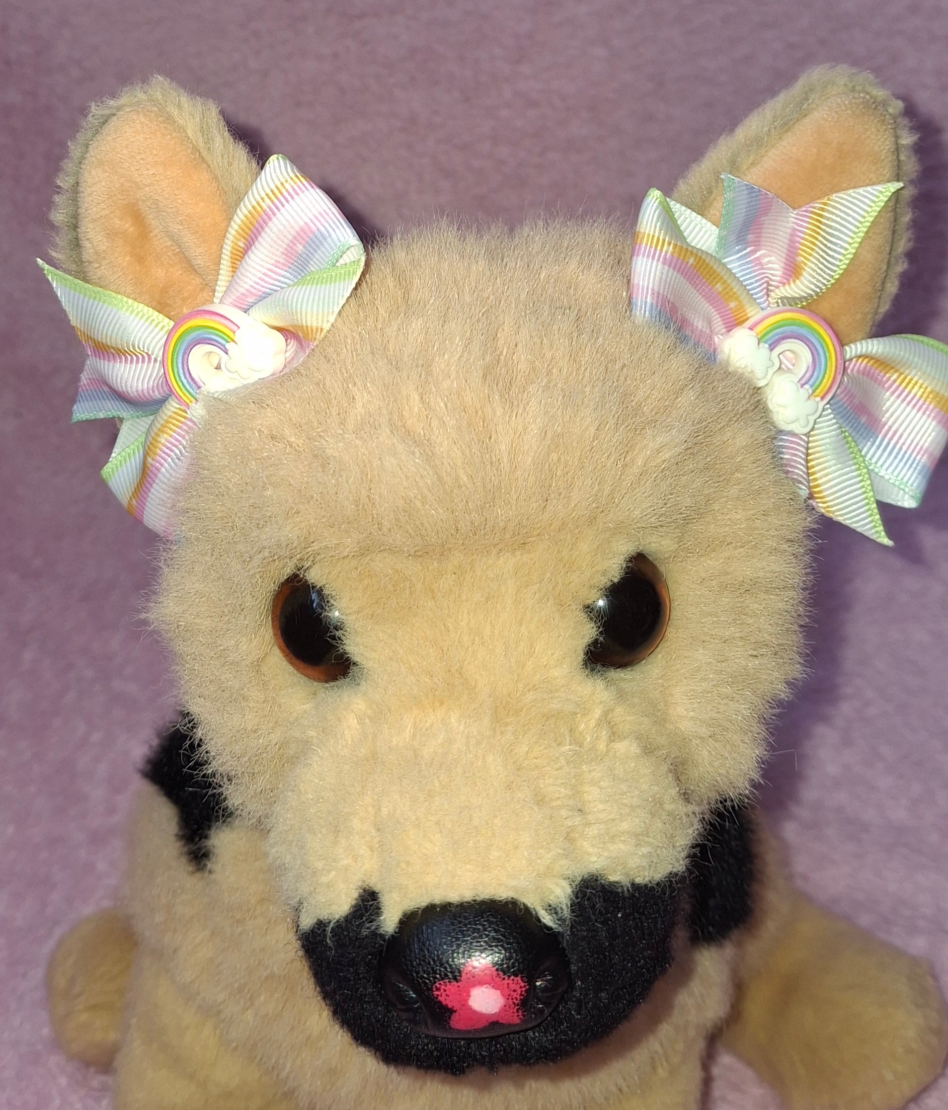Rainbow Bows