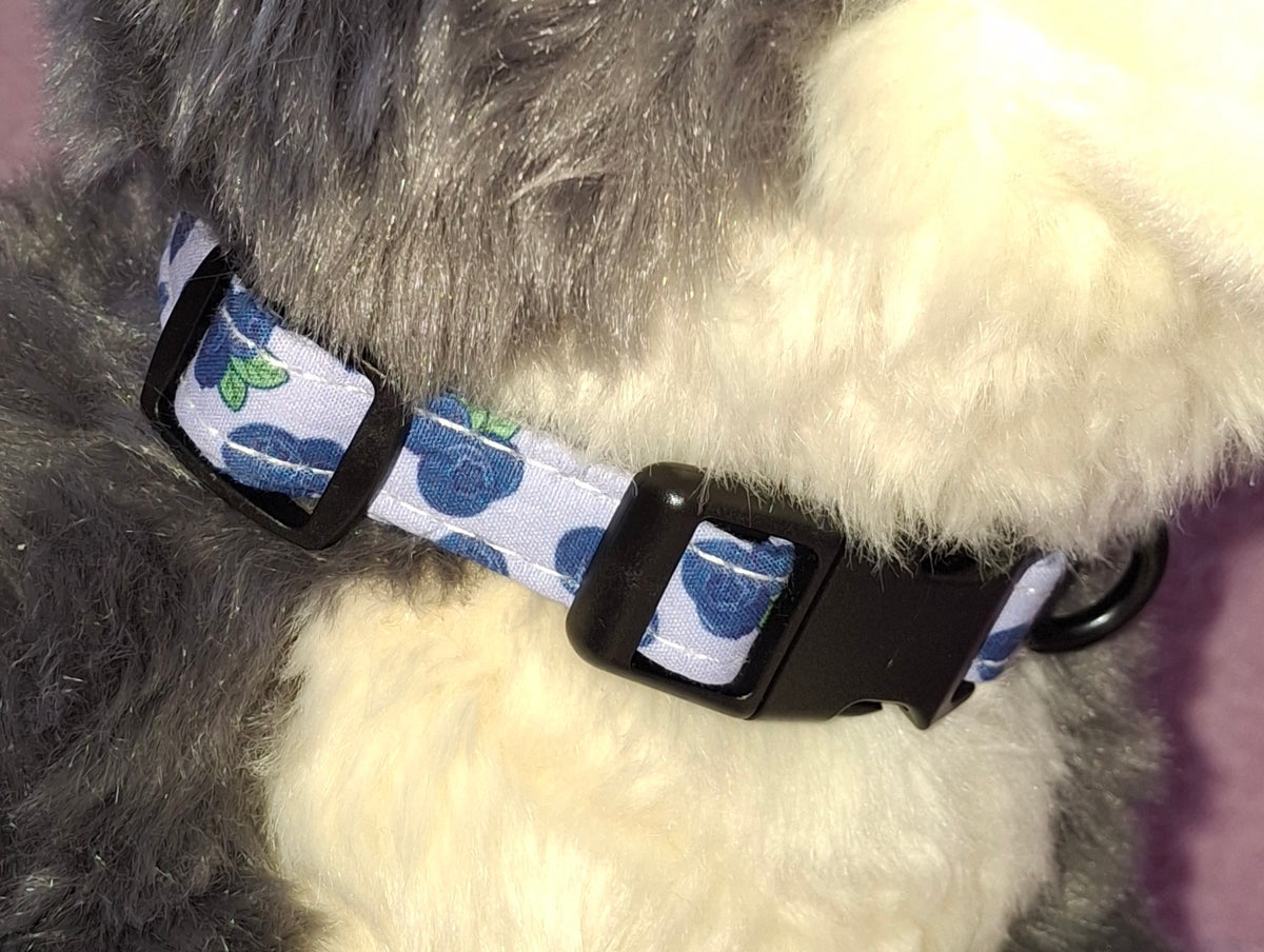 Fruit Dog Collars