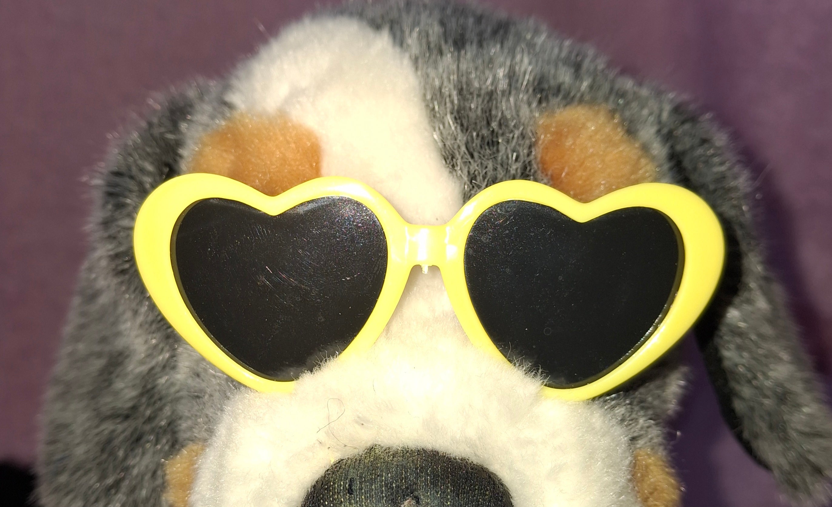 Heart Sunglasses