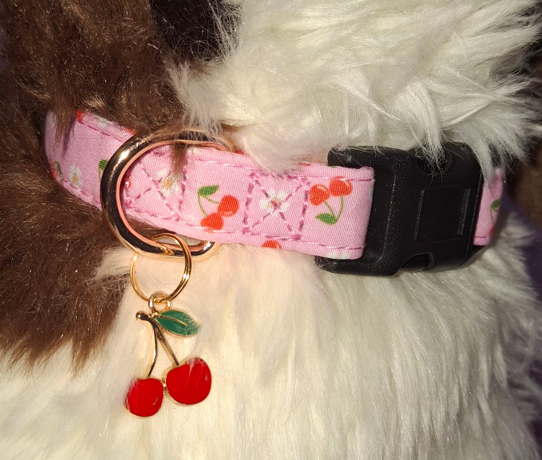 Fruit Dog Collars
