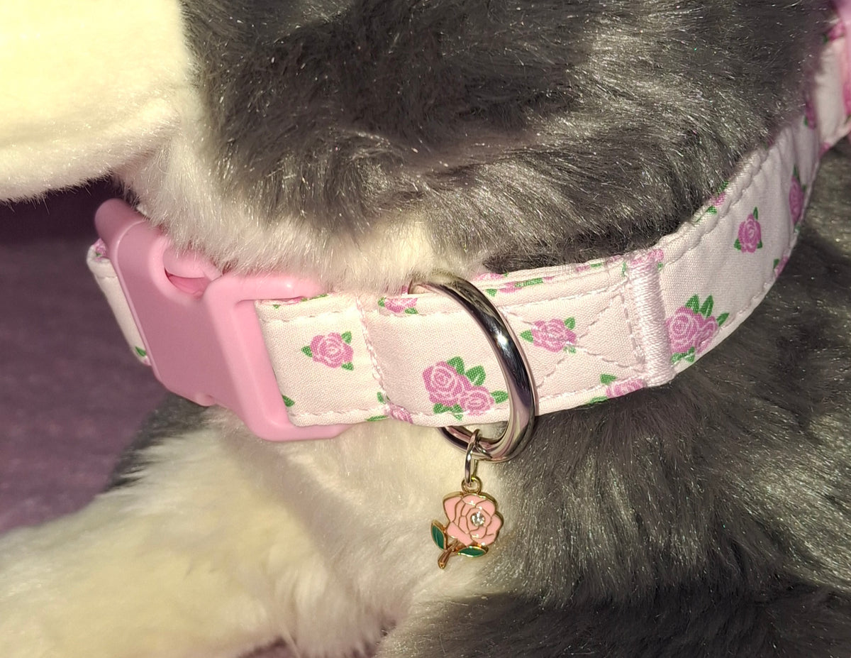 Large Dog Collars