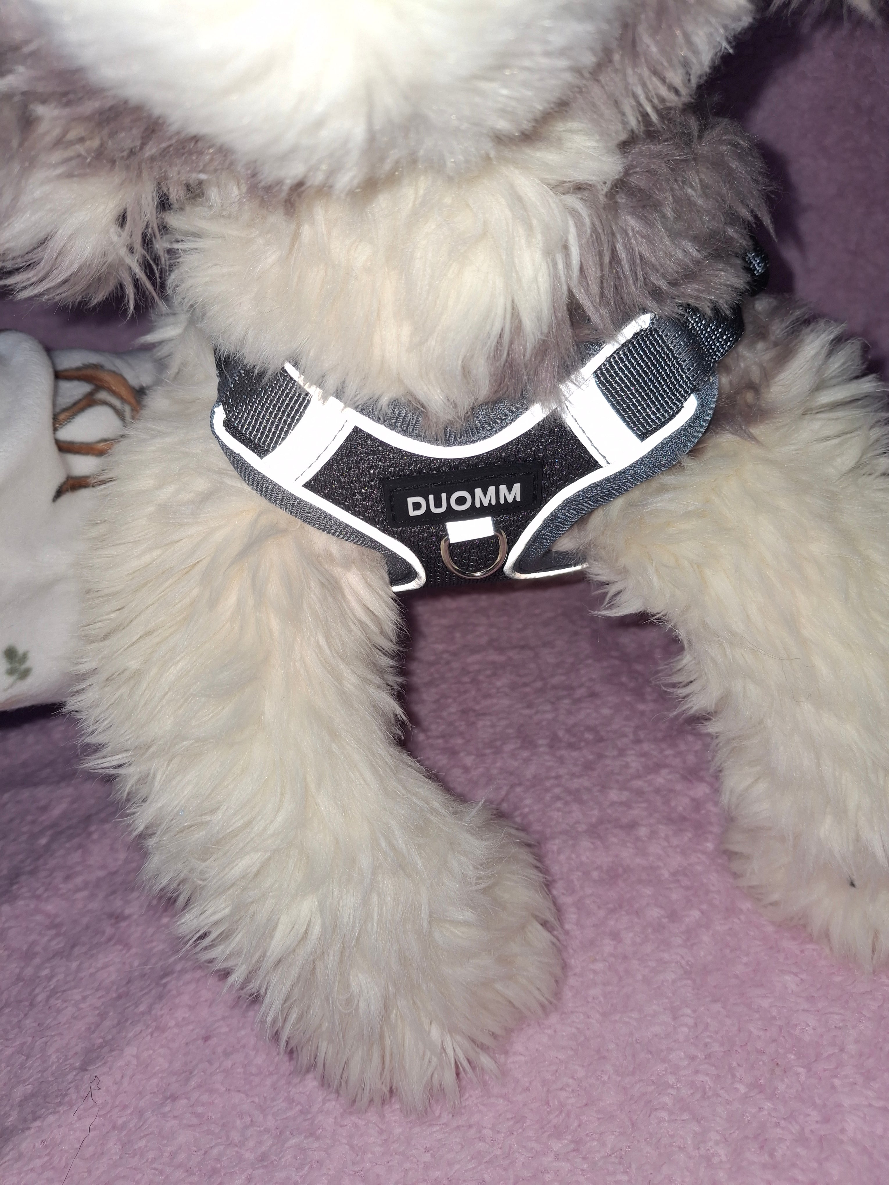 Reflective Harness