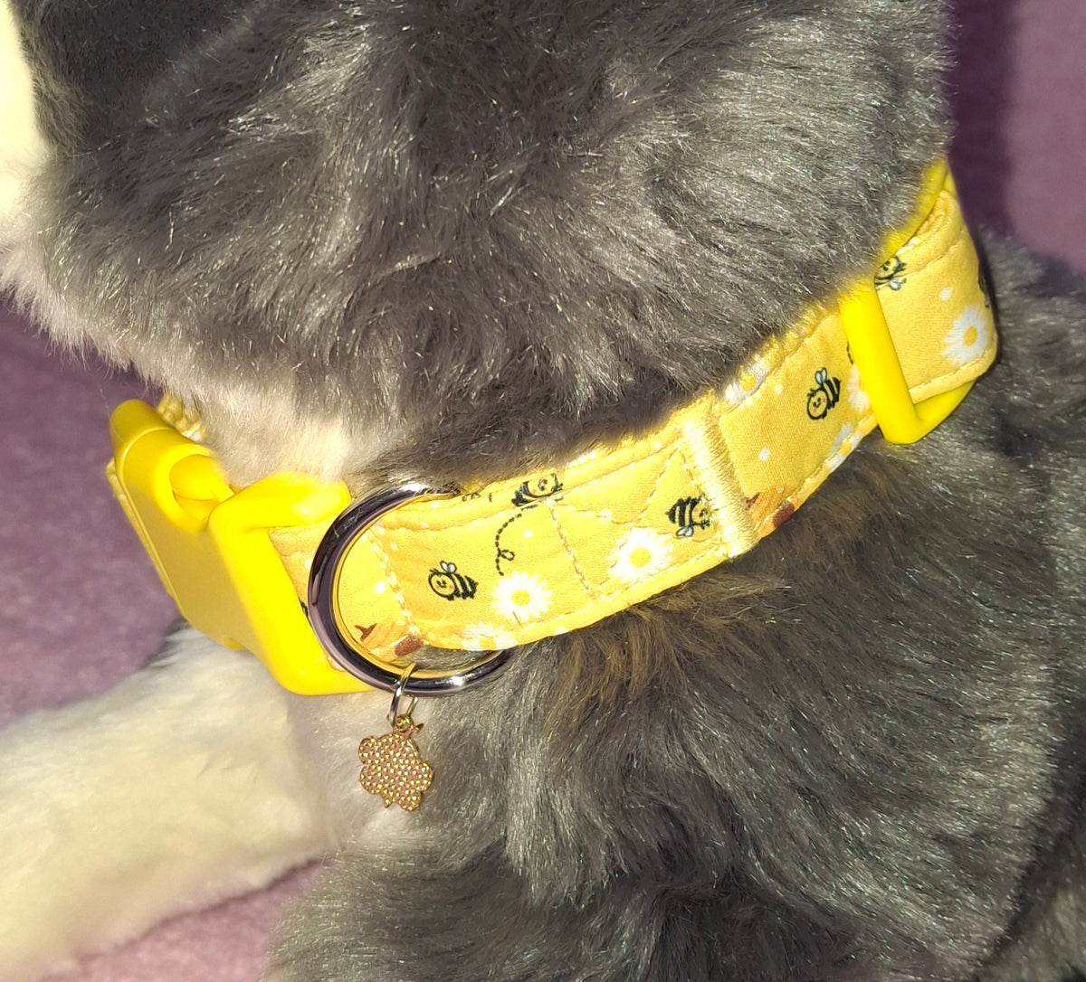 Large Dog Collars
