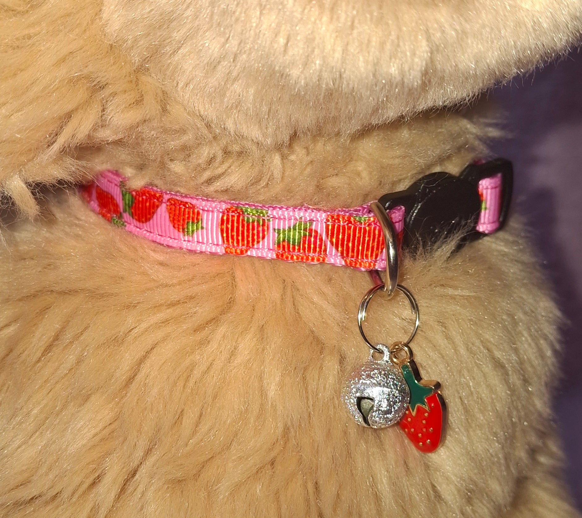 Fruit Cat Collars