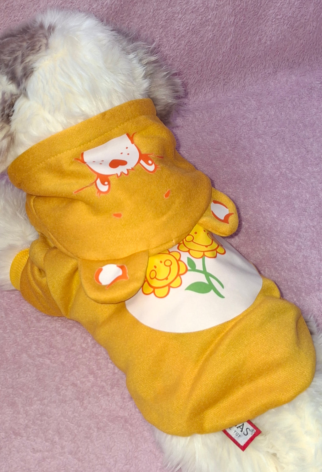 Care Bear Hoodies Variant 2