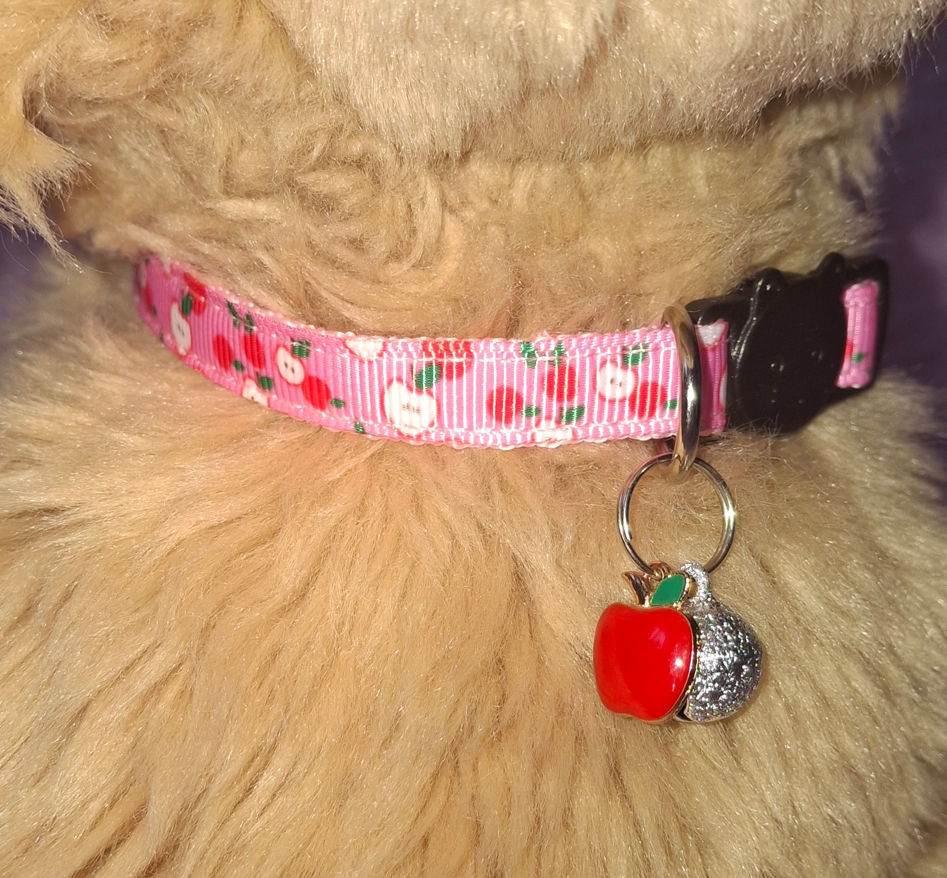 Fruit Cat Collars