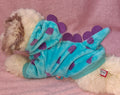Dinosaur Costume