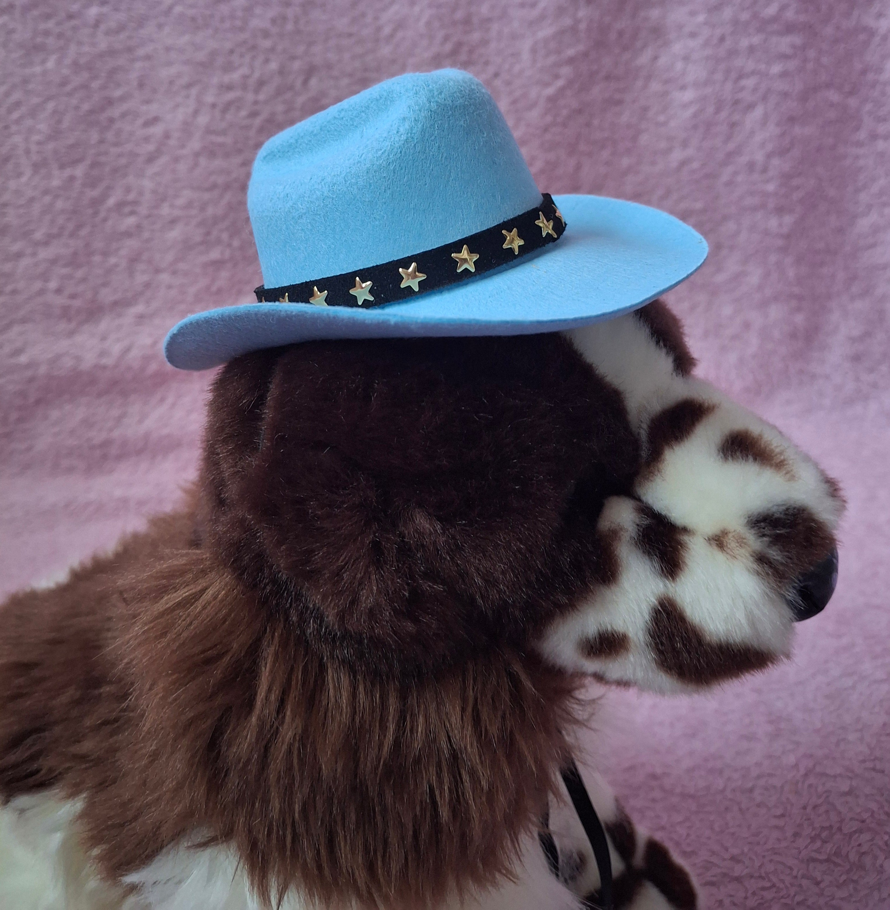 Cowboy Hat