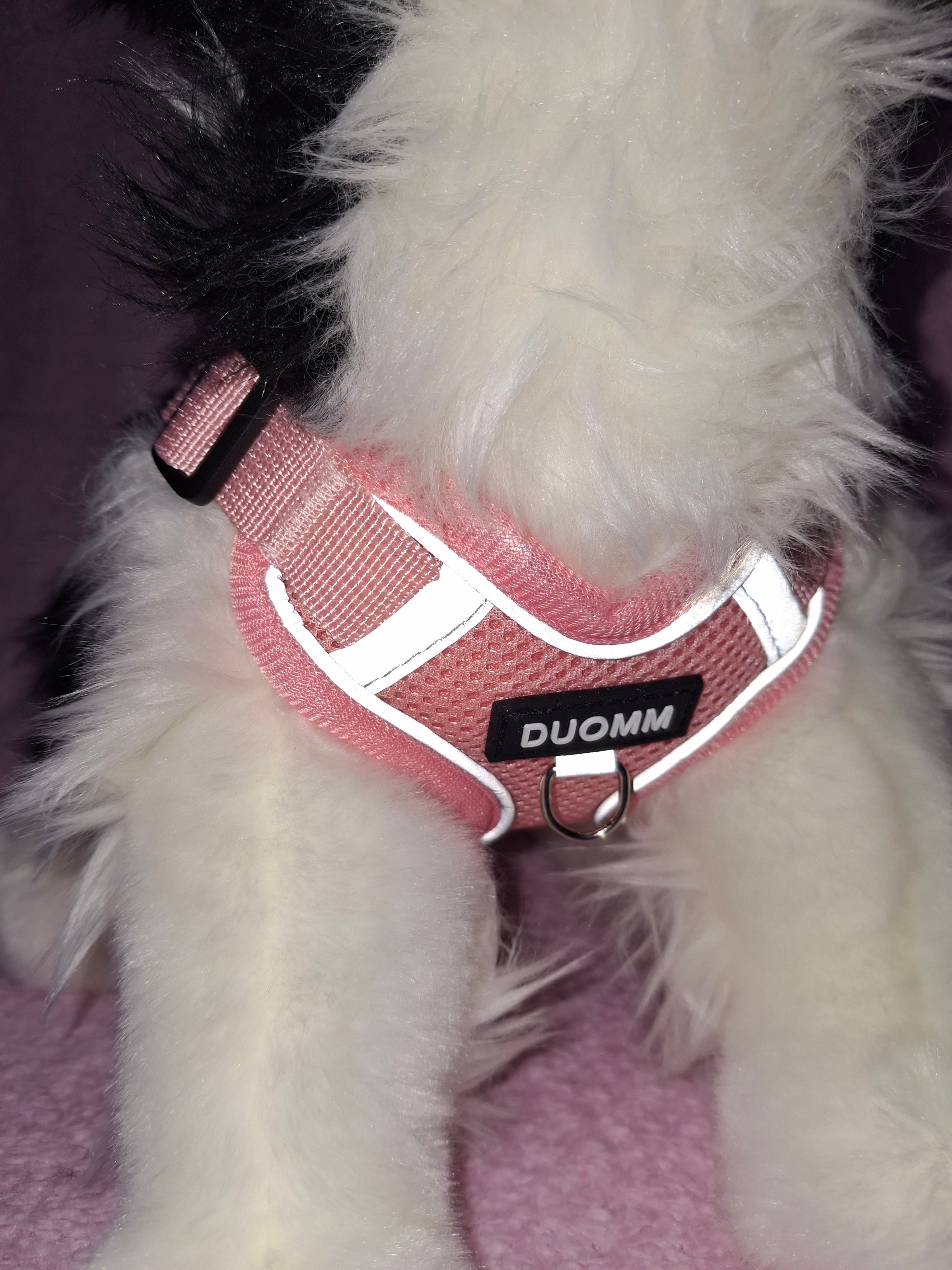 Reflective Harness
