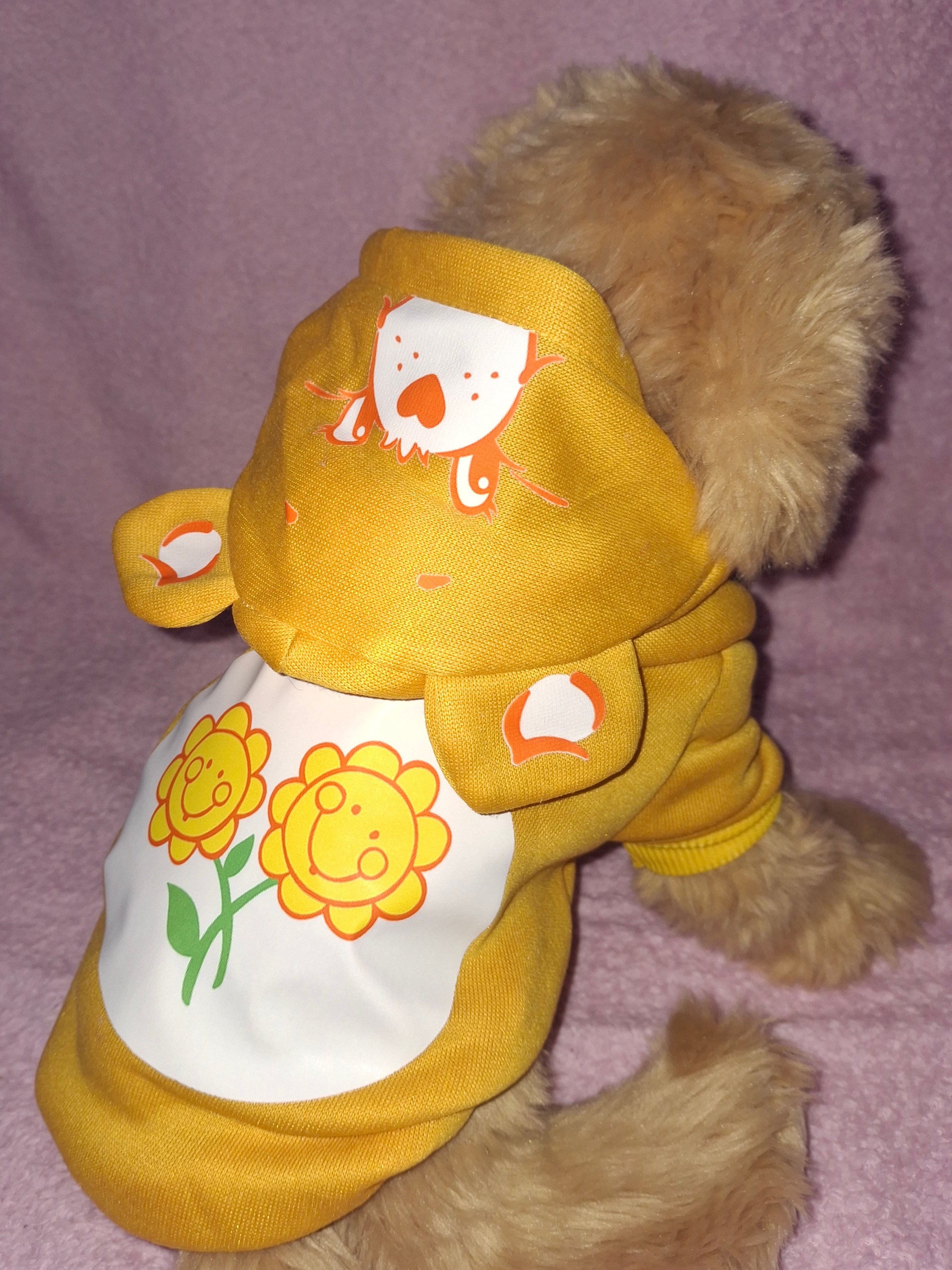 Care Bear Hoodies Variant 2