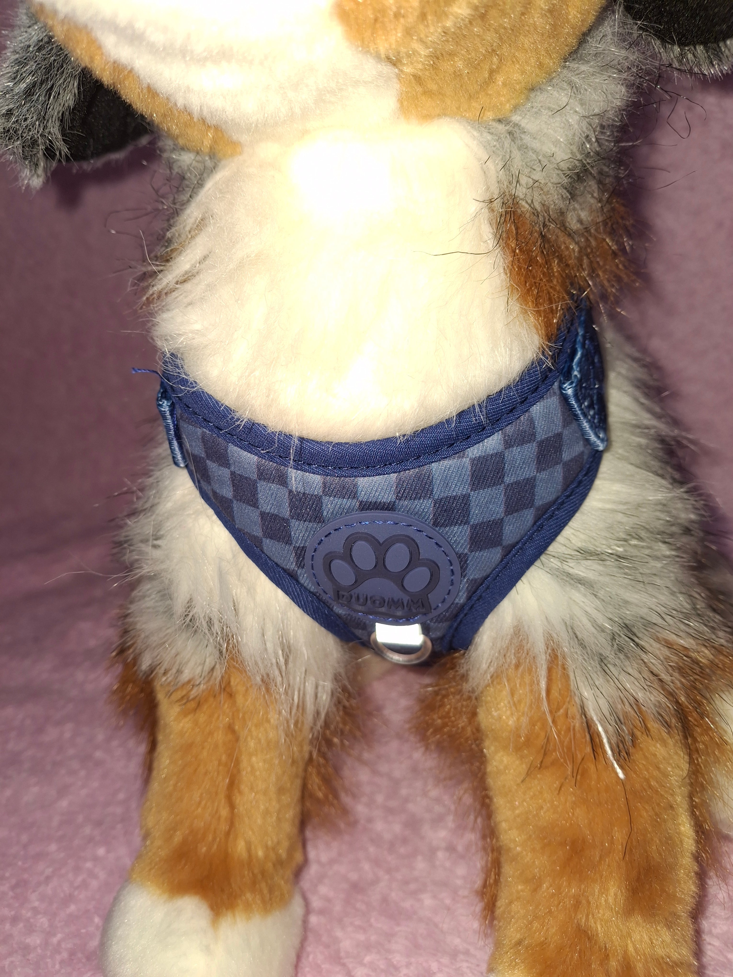 Chequered Harness