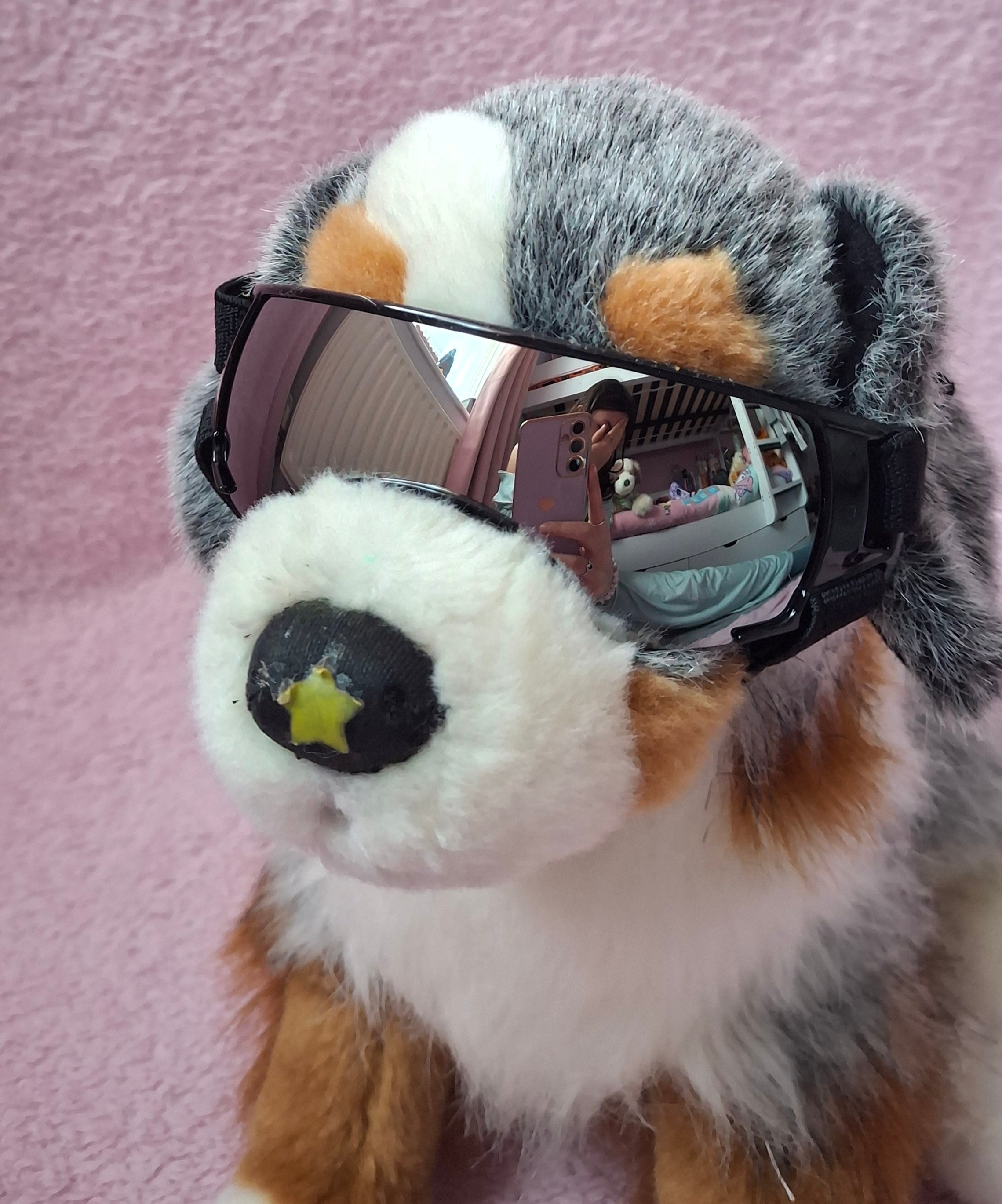 Goggles