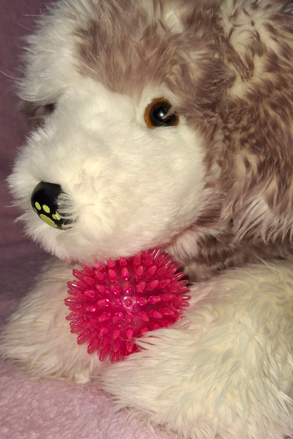 Squeaky Ball Toy