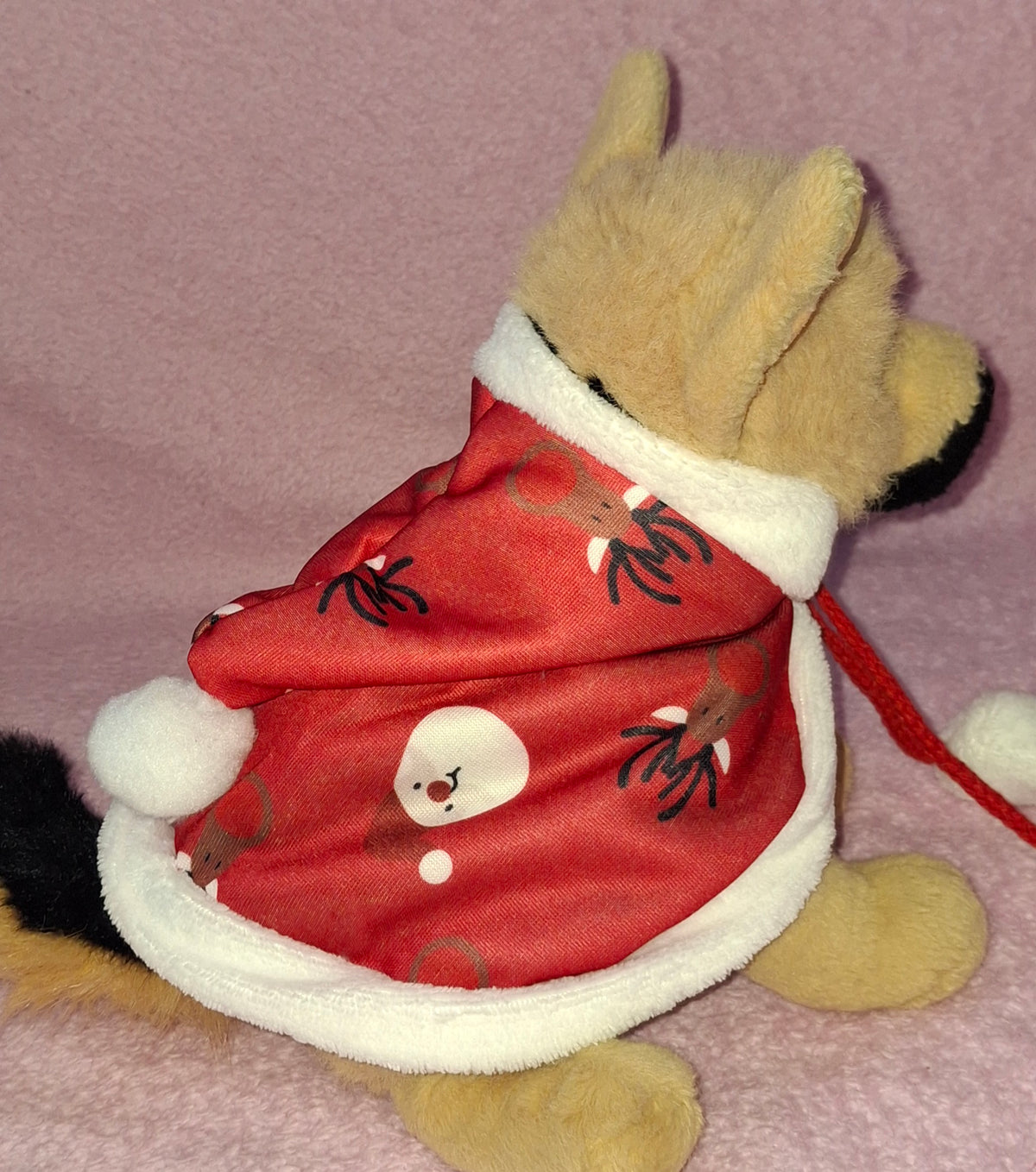 Christmas Cape