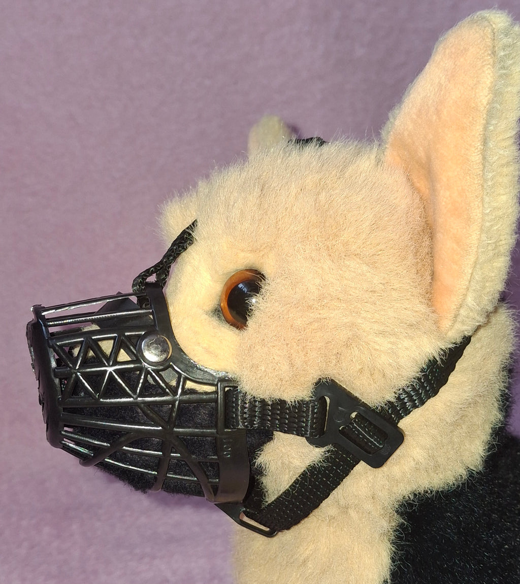 Muzzle
