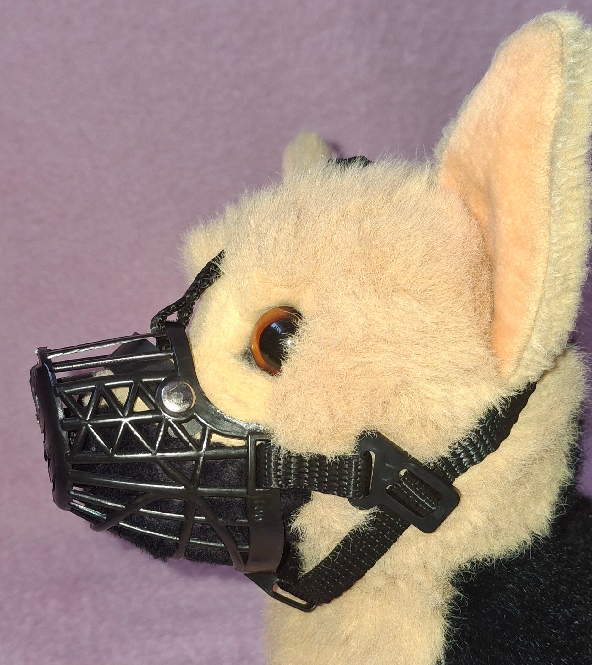 Muzzle