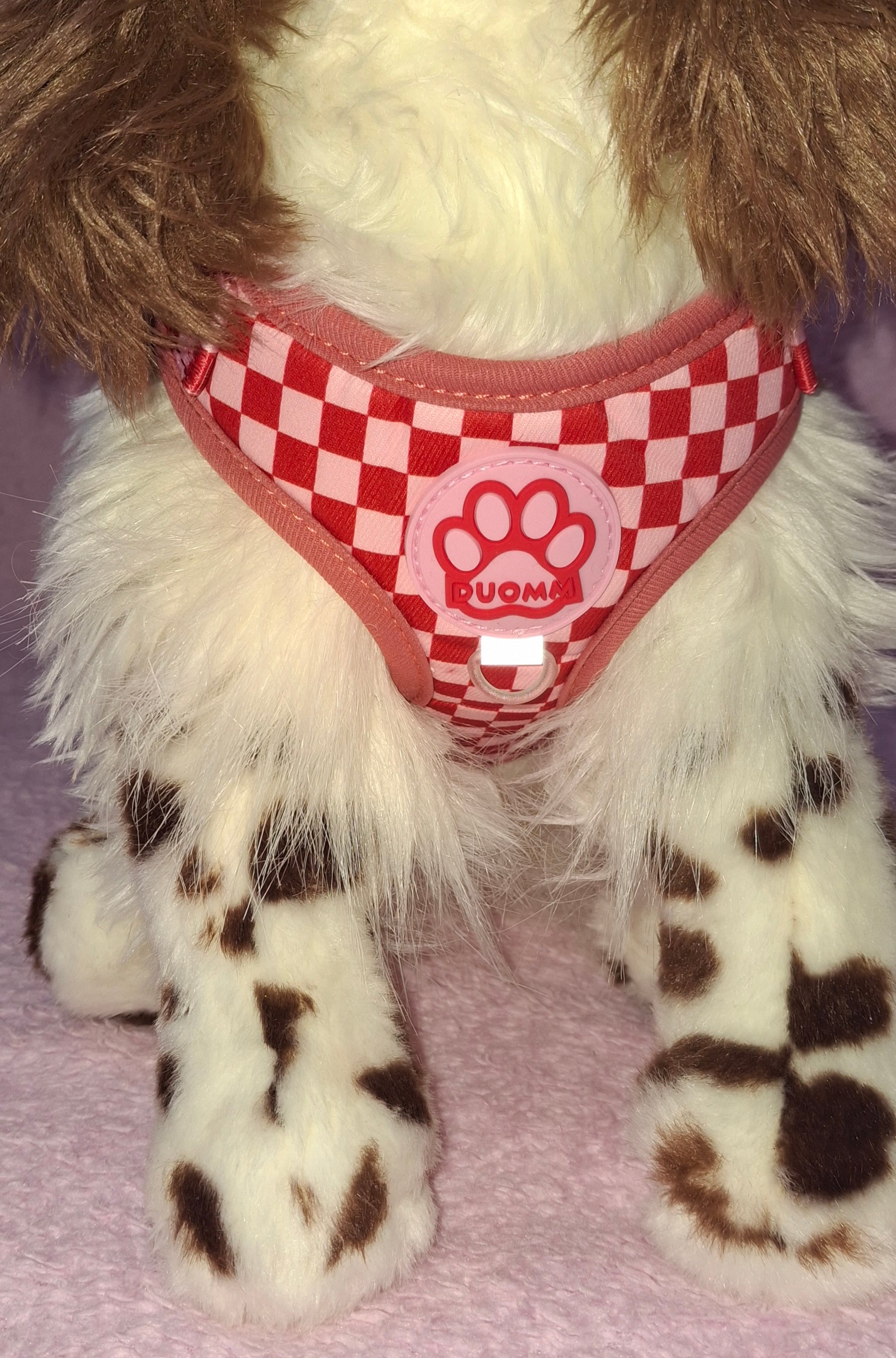 Chequered Harness