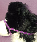 Border Collie Beaded Muzzle