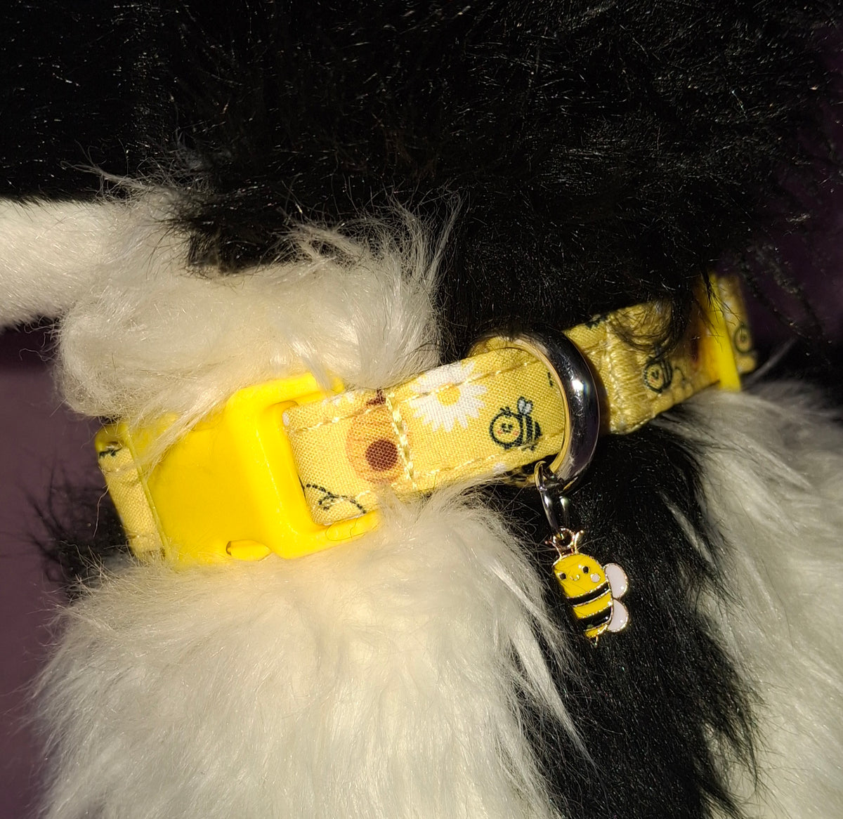 Dog Collar Variants