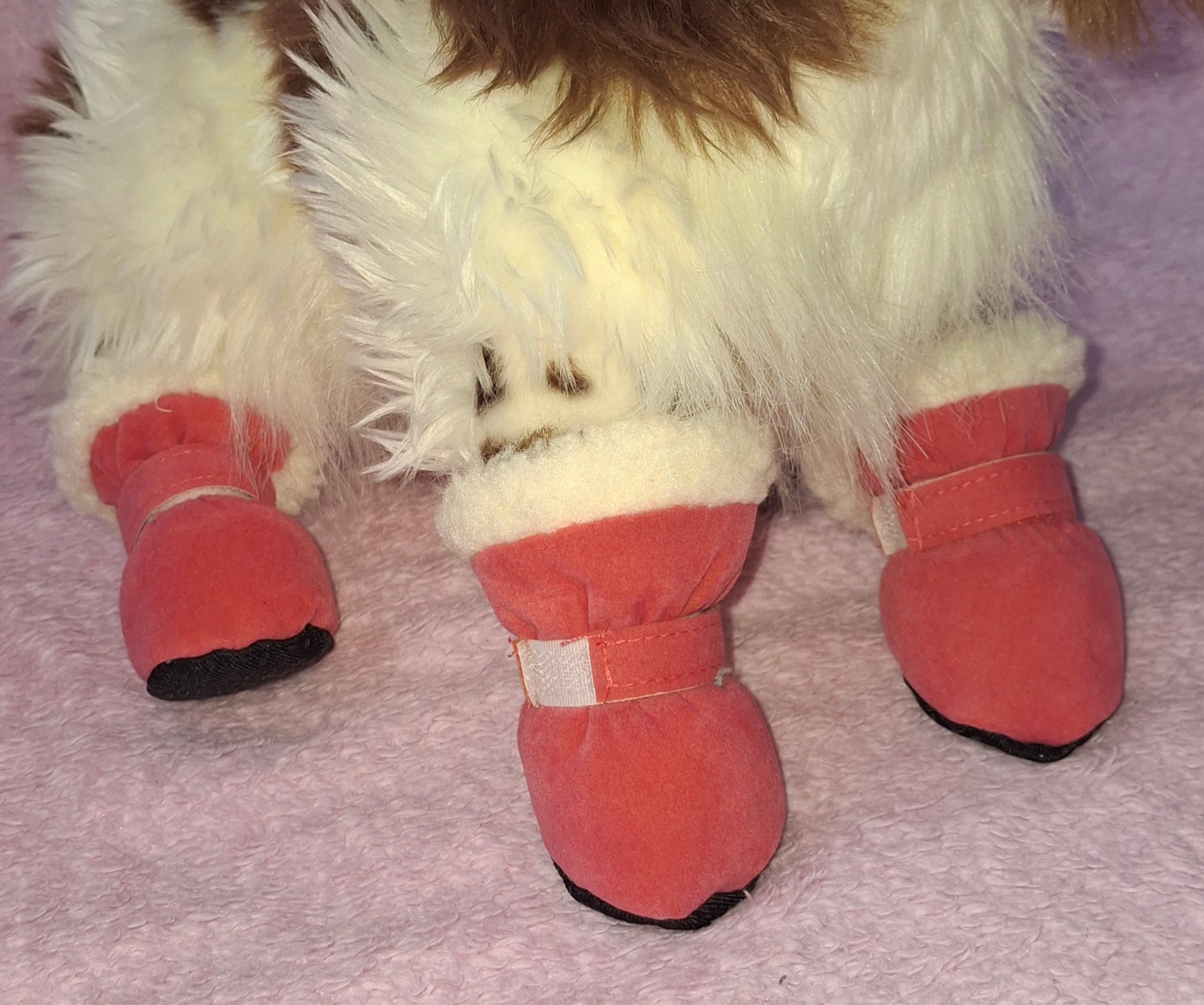 Winter Boots