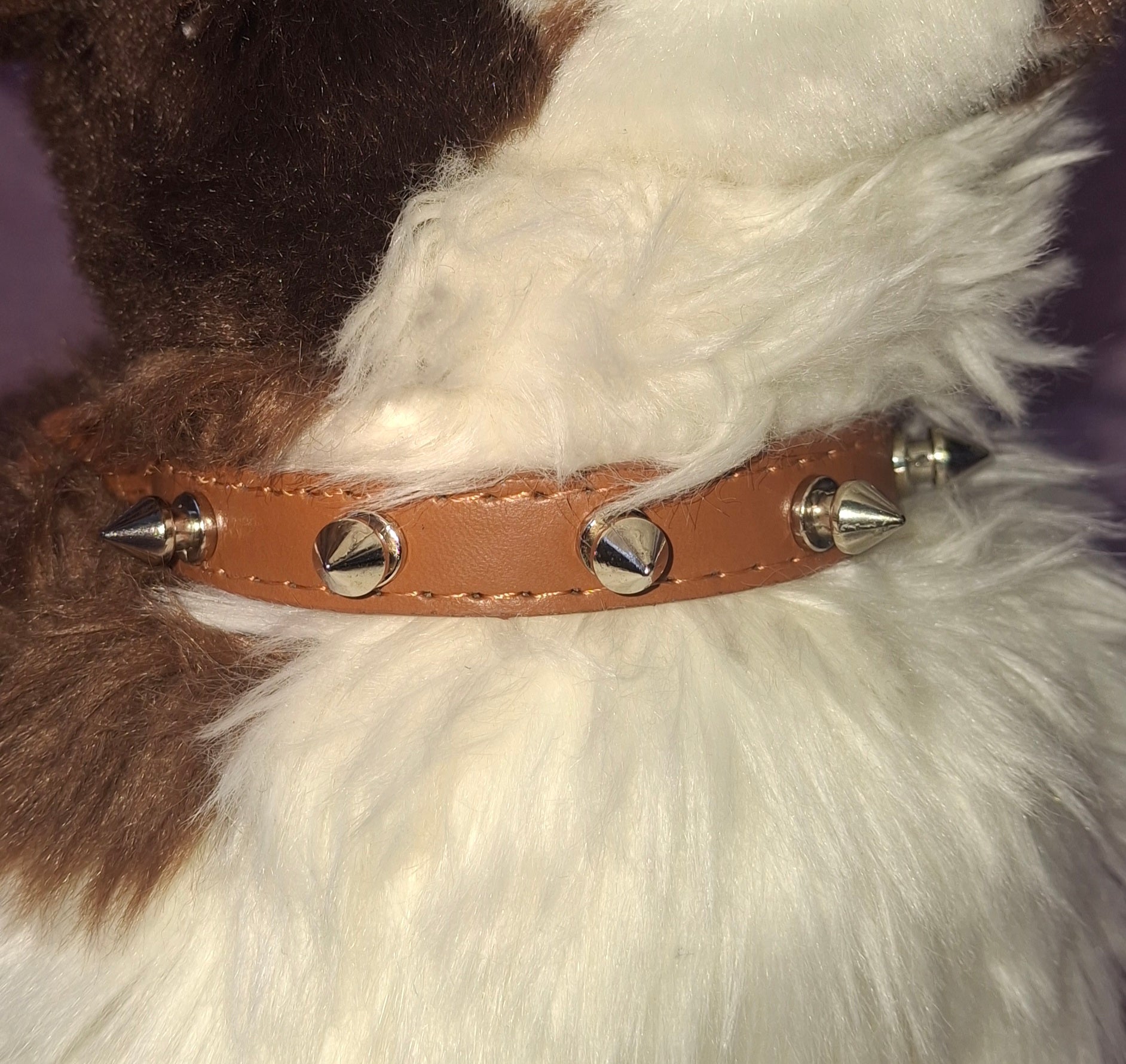 Spiked Collar