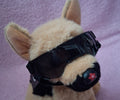 Goggles