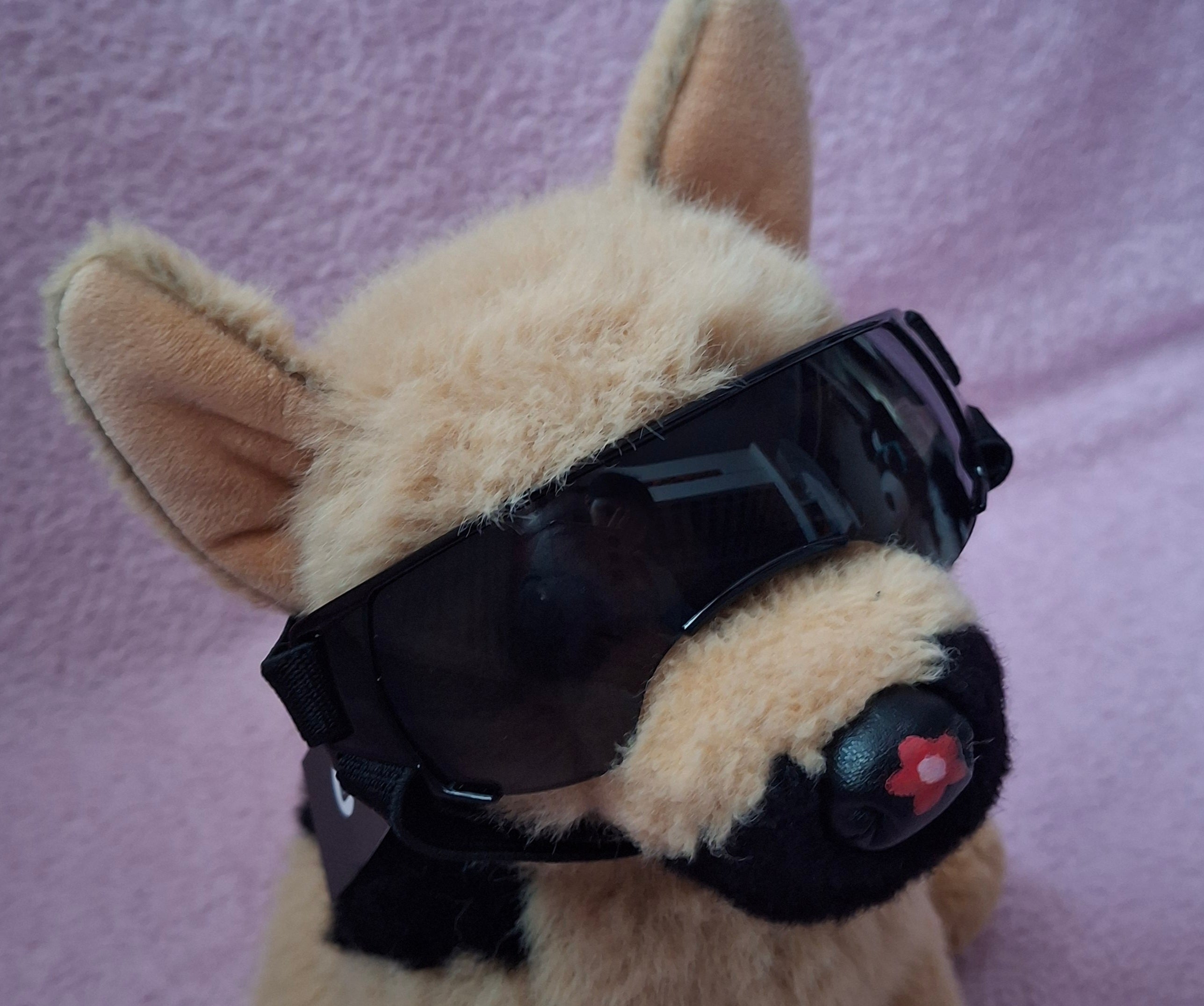 Goggles
