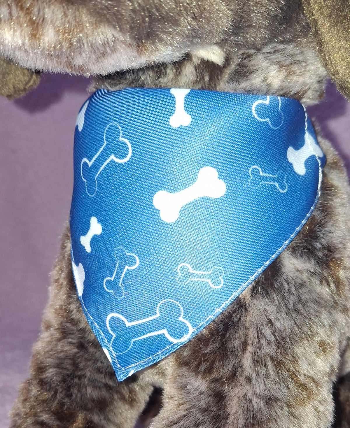 Patterned Bandana Collar