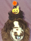 Pumpkin Witch Hat