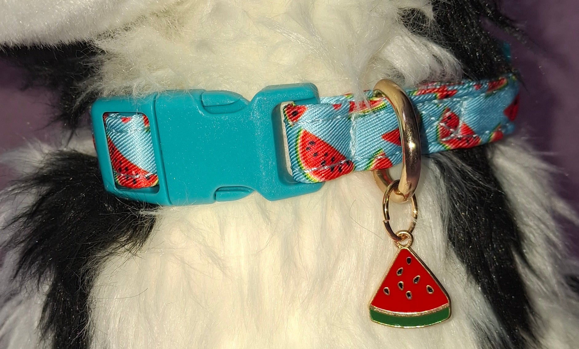 Fruit Dog Collars