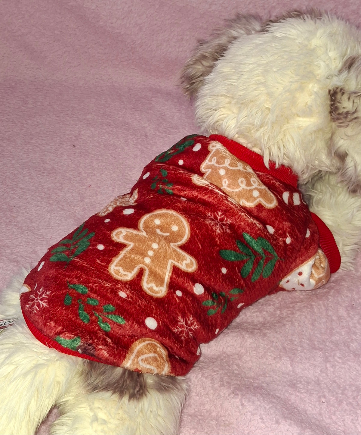 Fleece Gingerbread Jumper